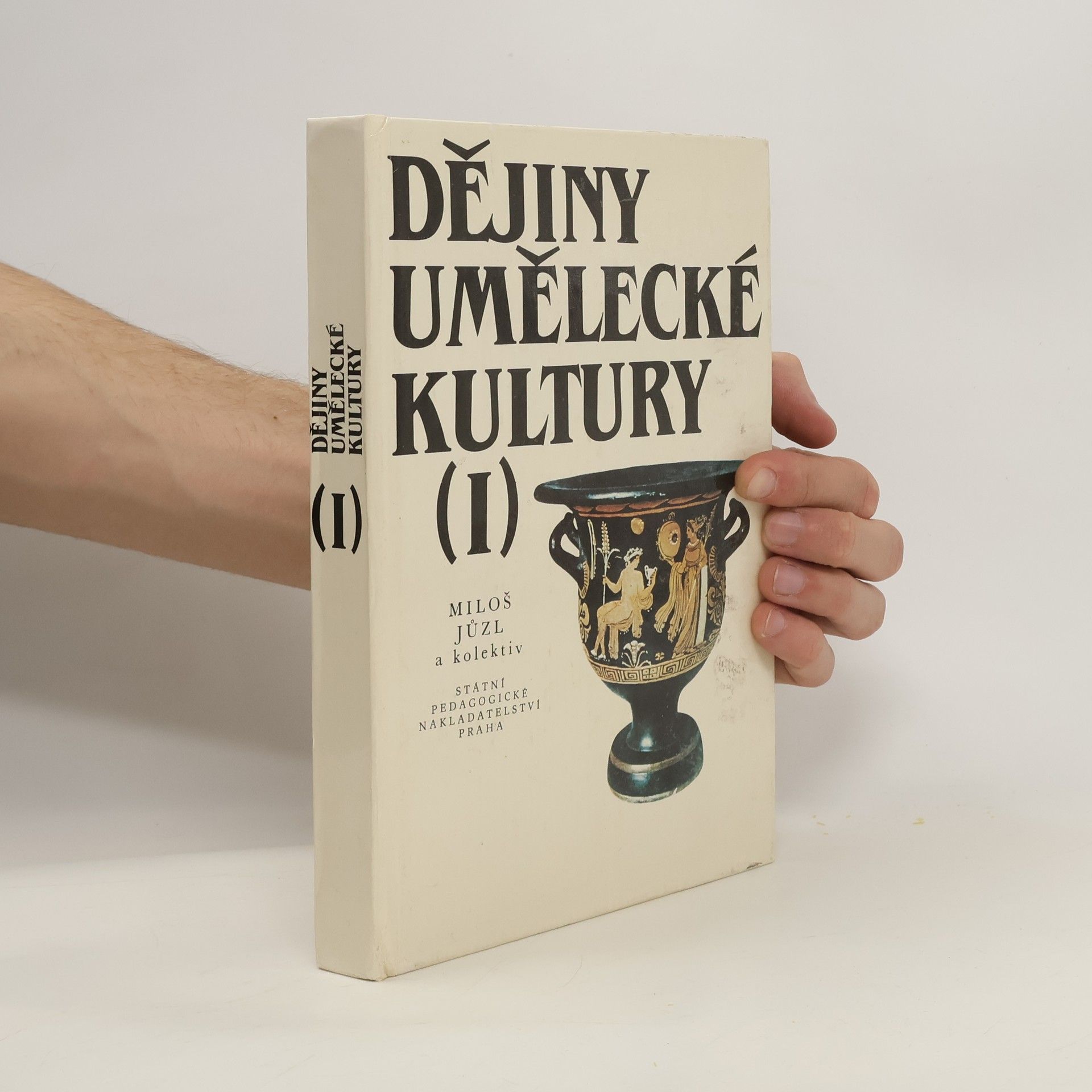 Miloš Jůzl Dějiny umělecké kultury. 1. díl