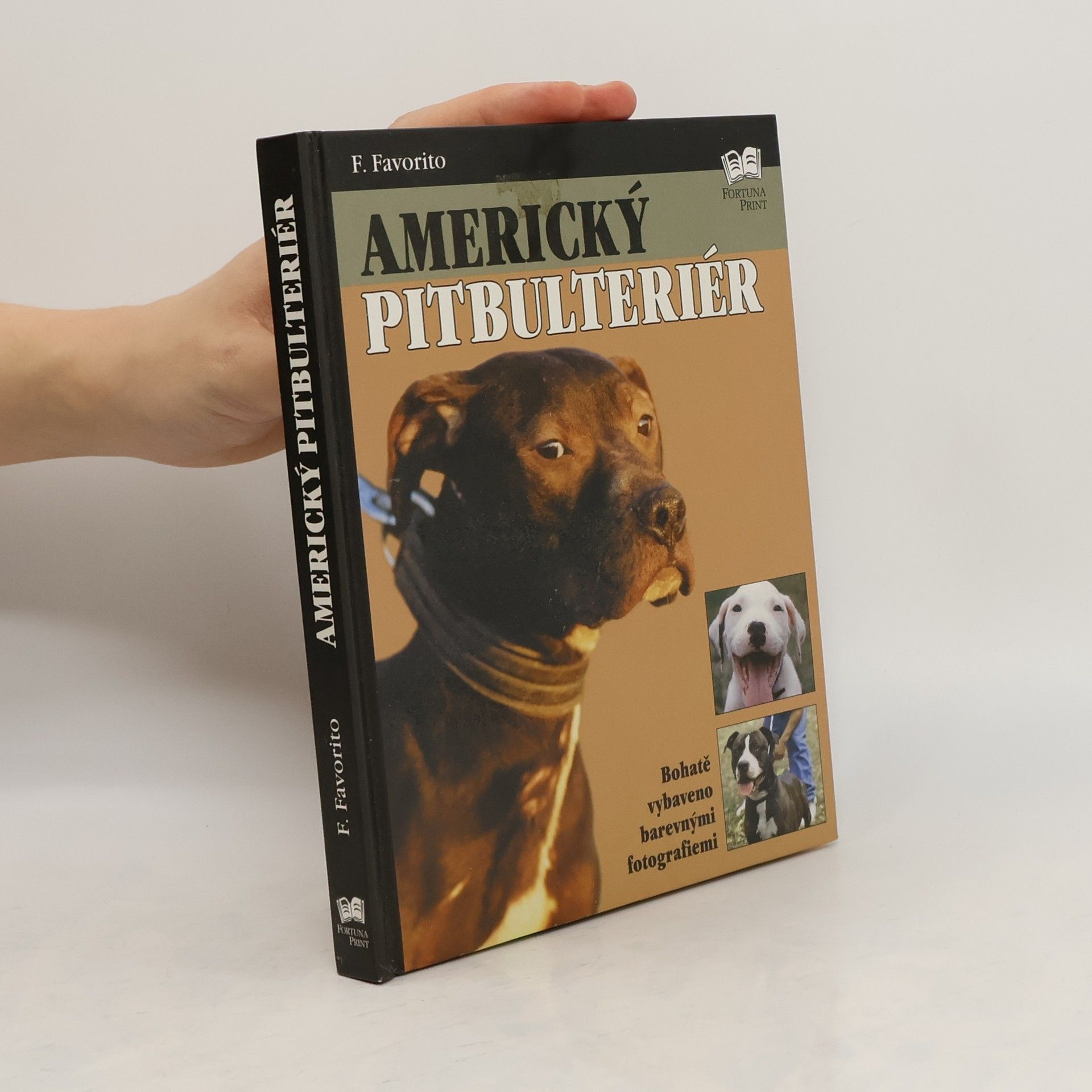 F. Favorito Americký pitbulteriér