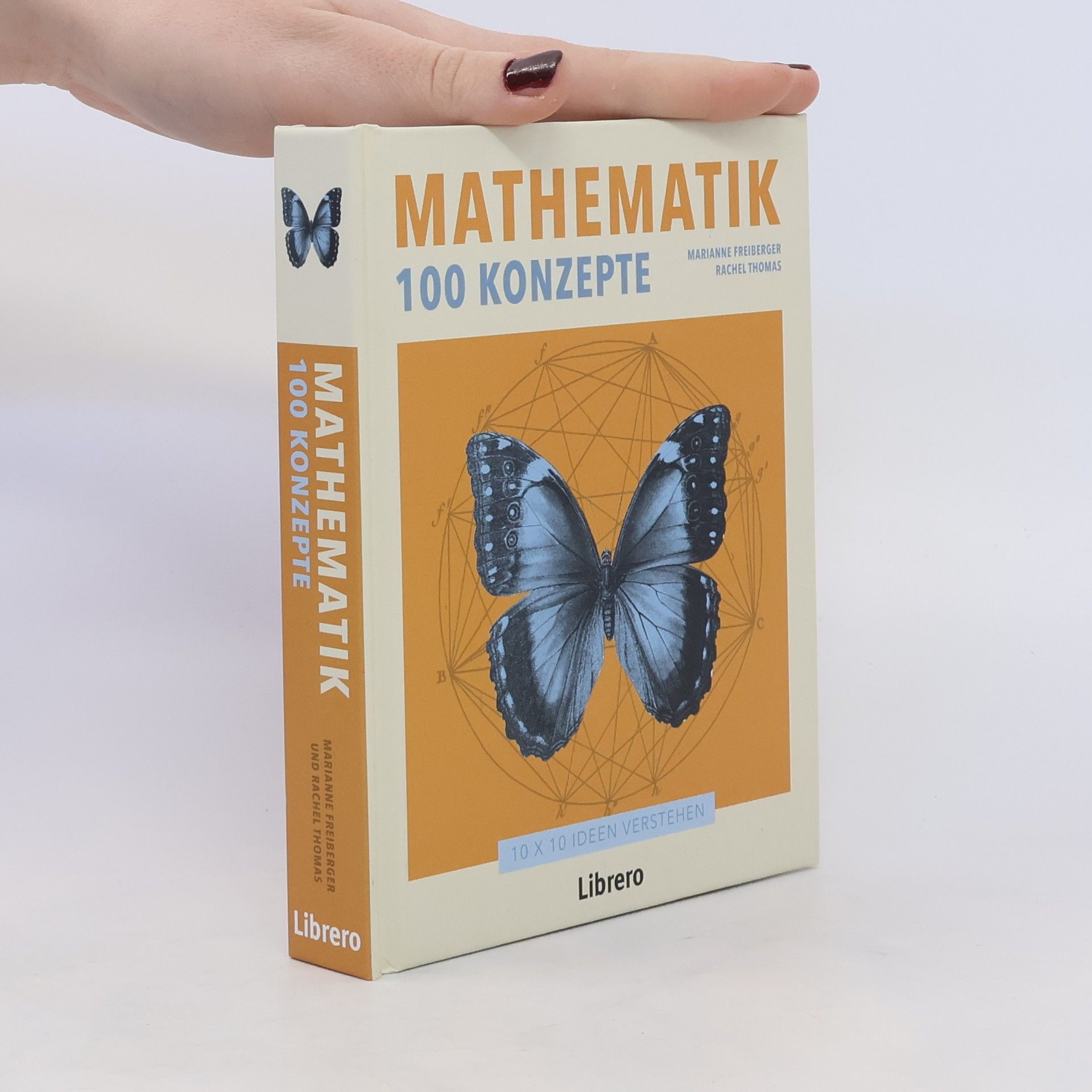 Marianne Freiberger Mathematik - 100 Konzepte