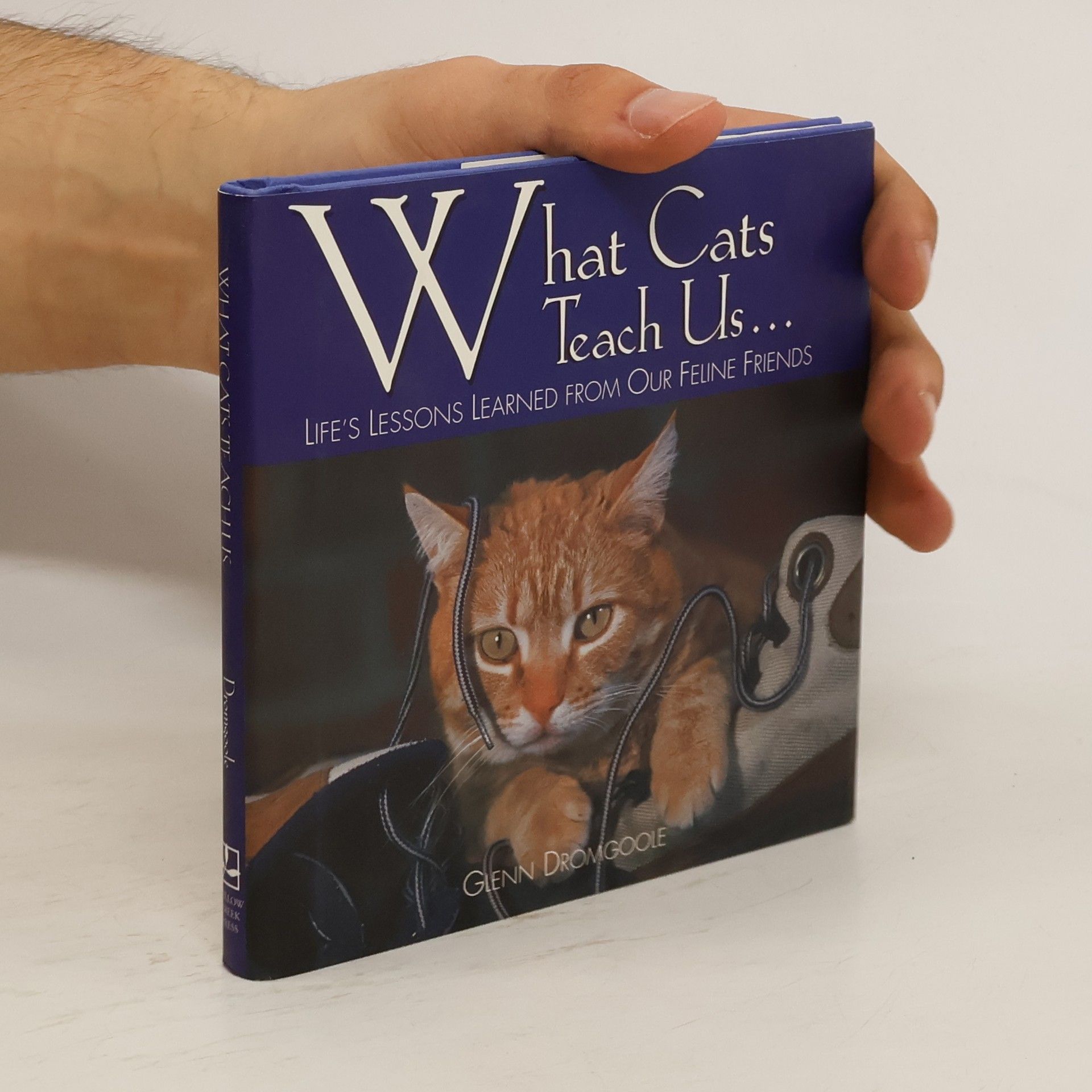 Glenn Dromgoole What Cats Teach Us...