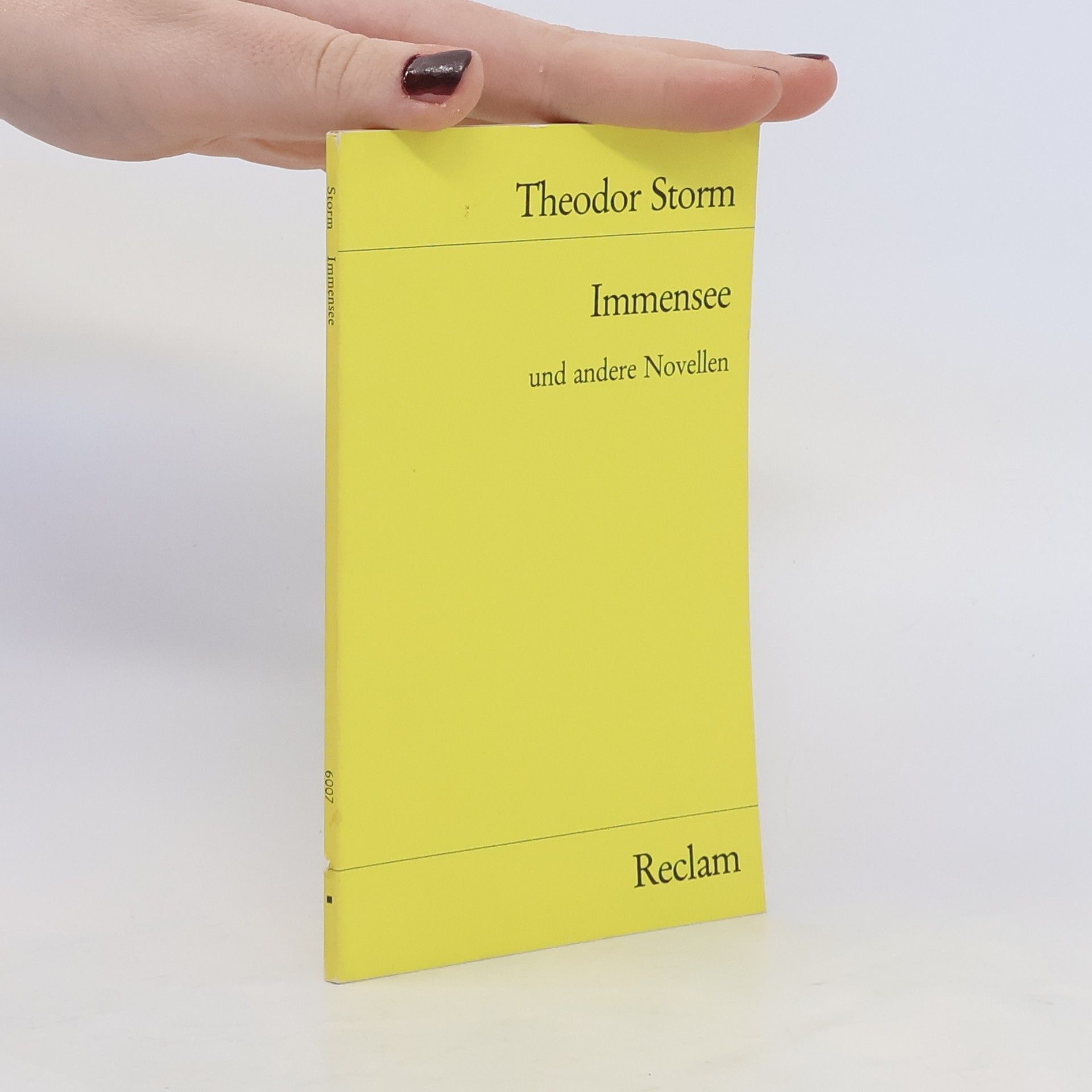 Theodor Storm Immensee und andere Novellen