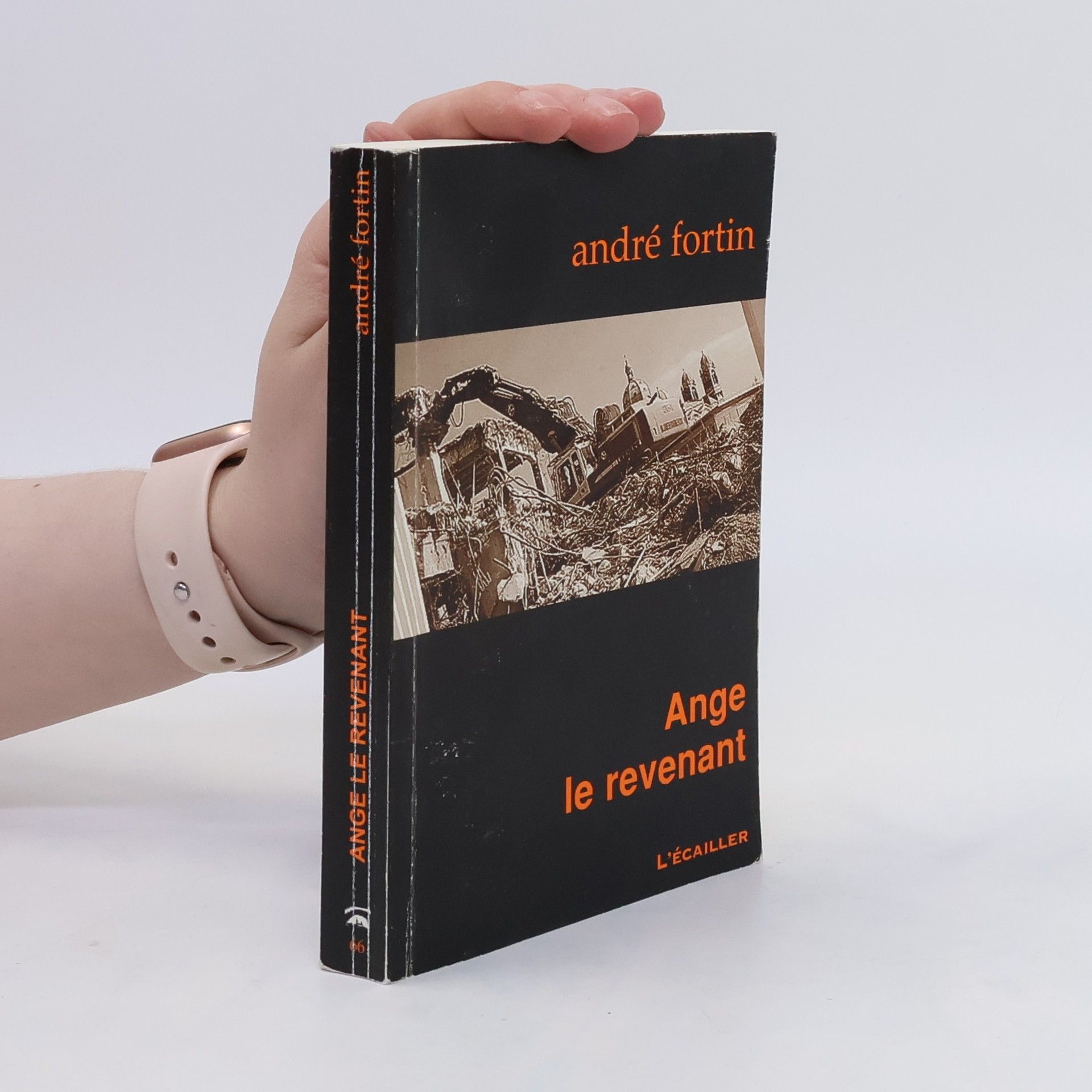 André Fortin Ange le revenant