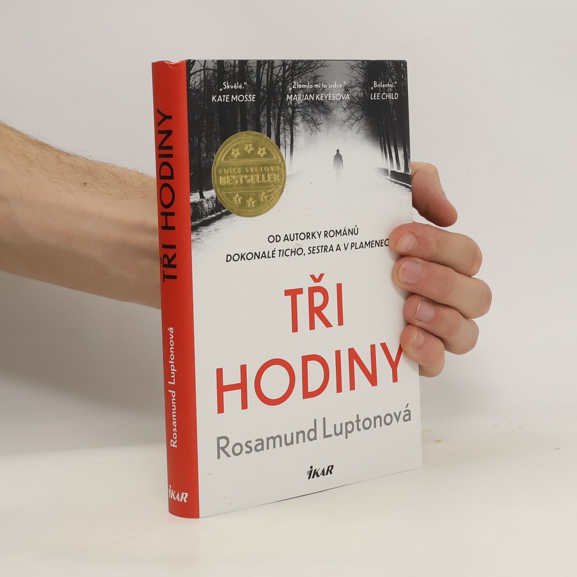 Rosamund Lupton Tři hodiny