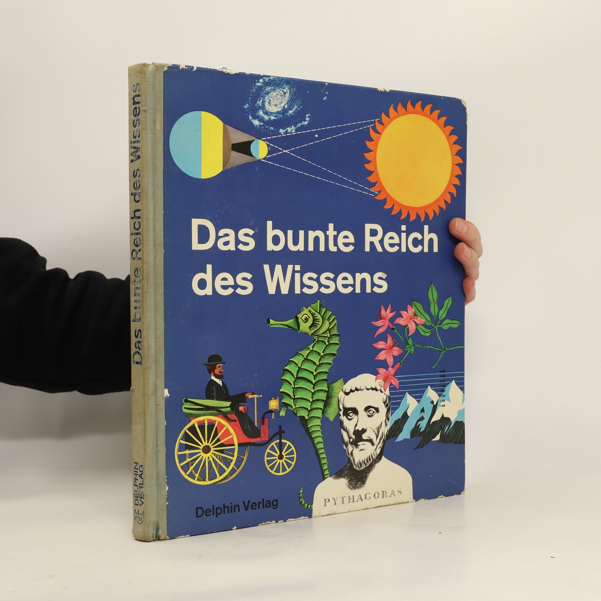 Bertha Morris Parker Das bunte Reich des Wissens