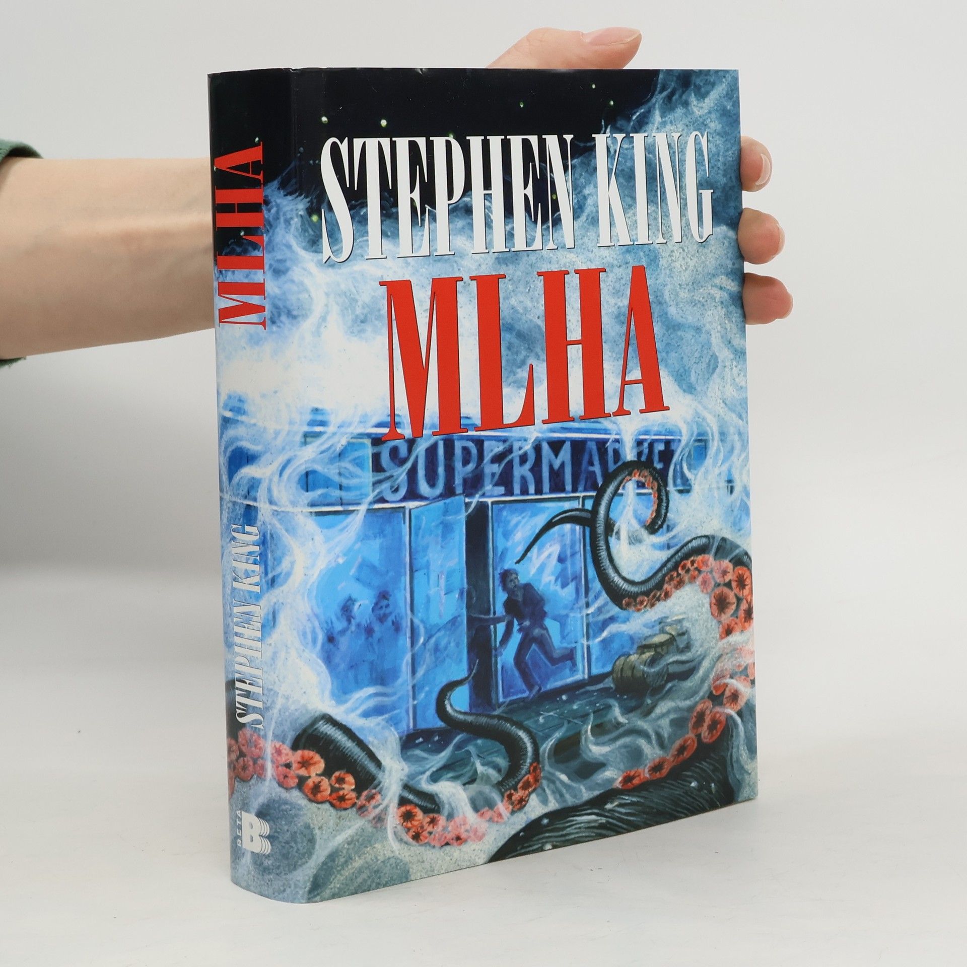 Stephen King Mlha