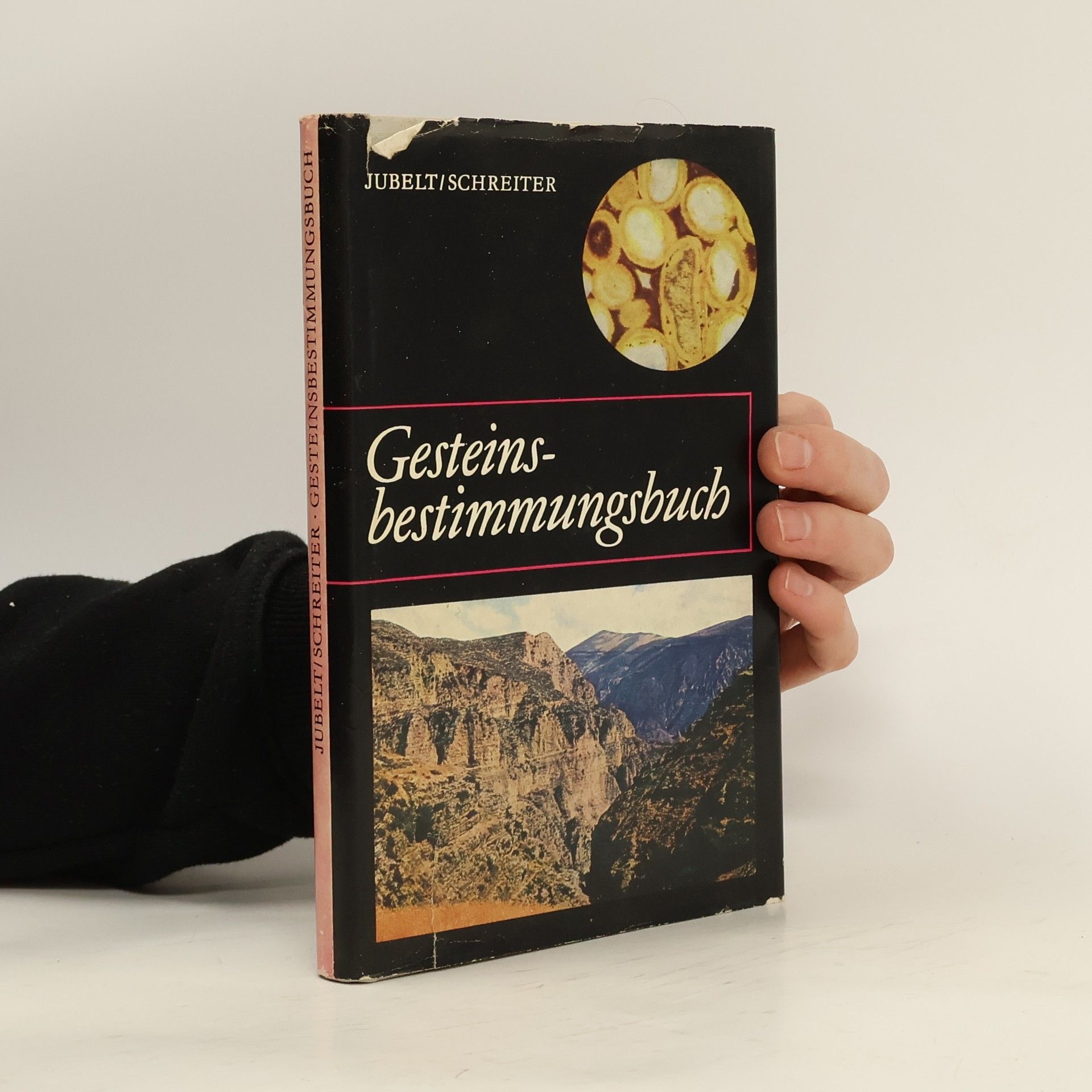 Rudolf Jubelt Gesteins-bestimmungsbuch
