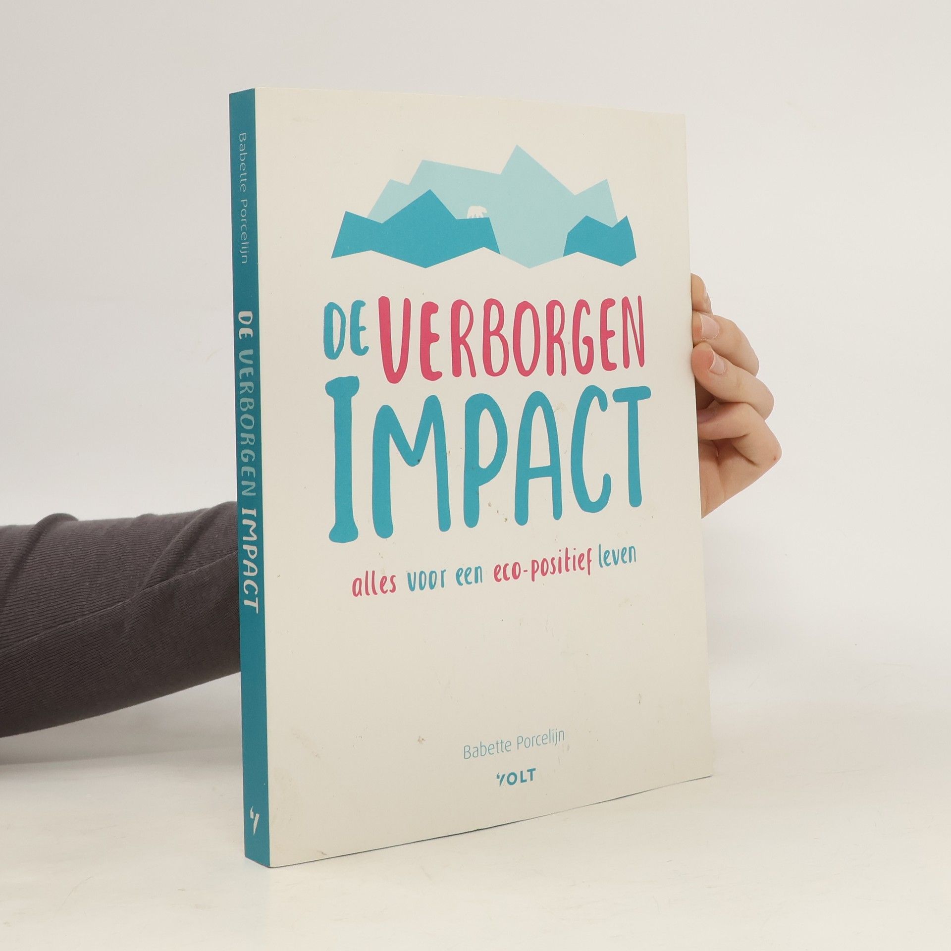 Babette Porcelijn De verborgen impact