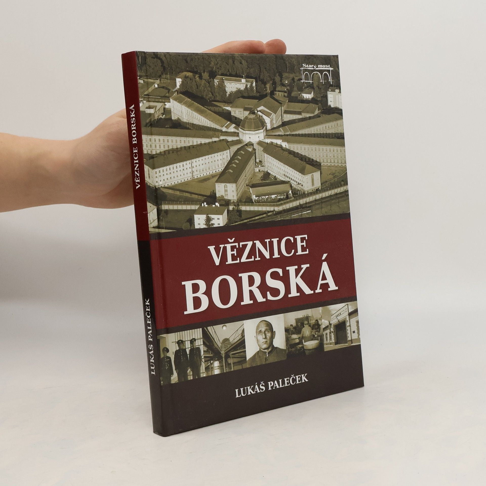 Lukáš Paleček Věznice borská