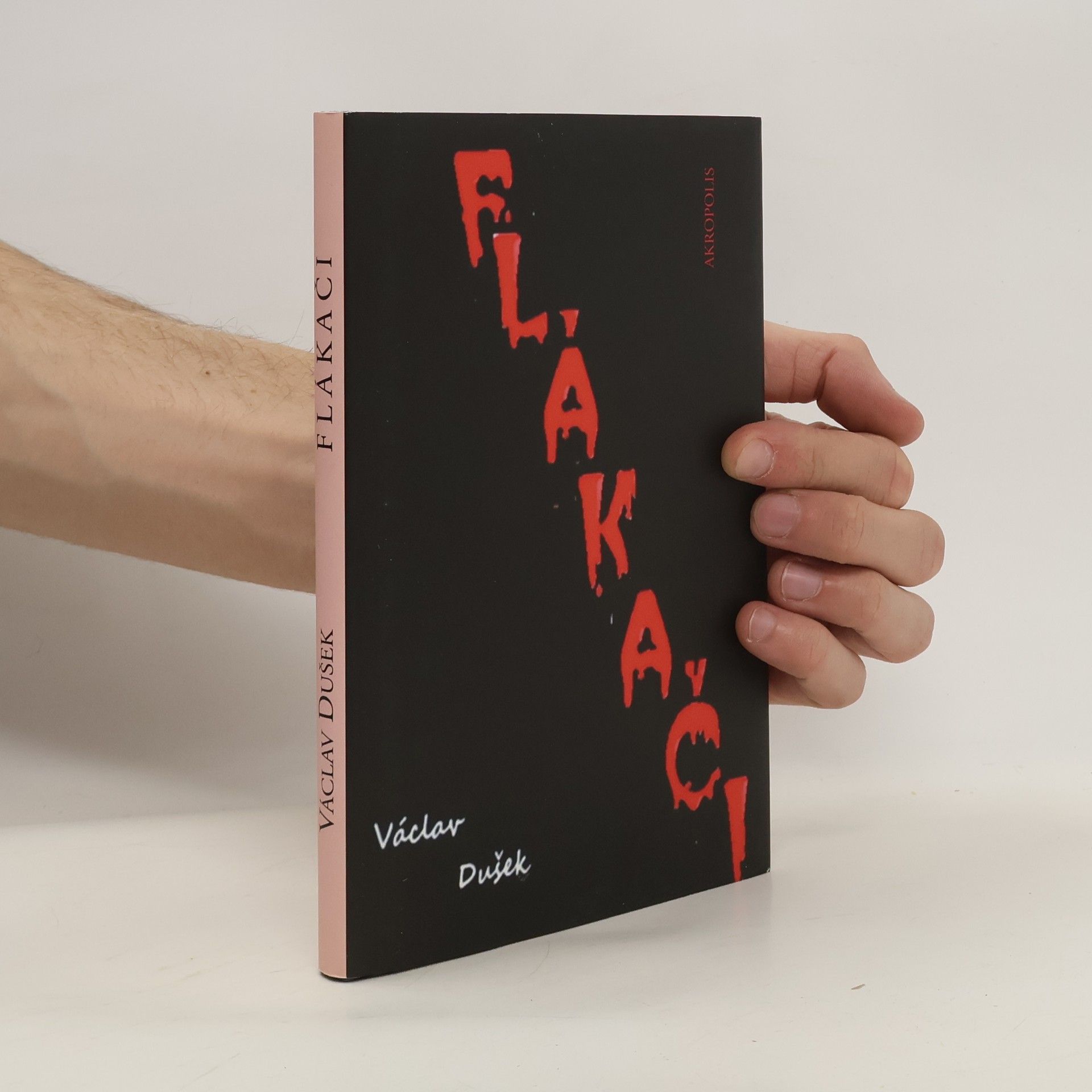 Václav Dušek Flákači