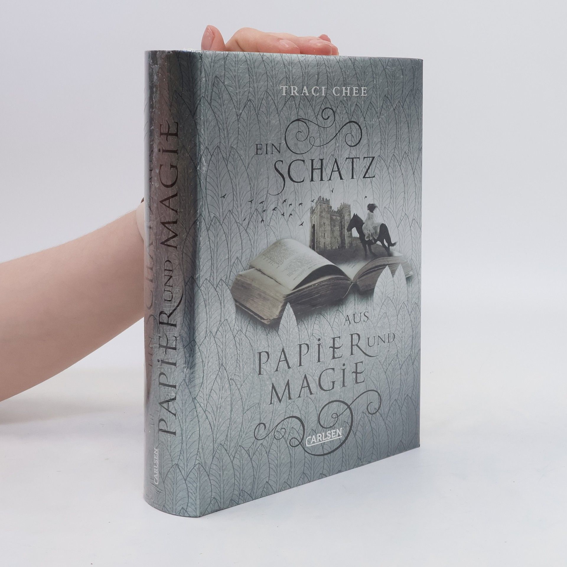 Traci Chee Ein Schatz aus Papier und Magie