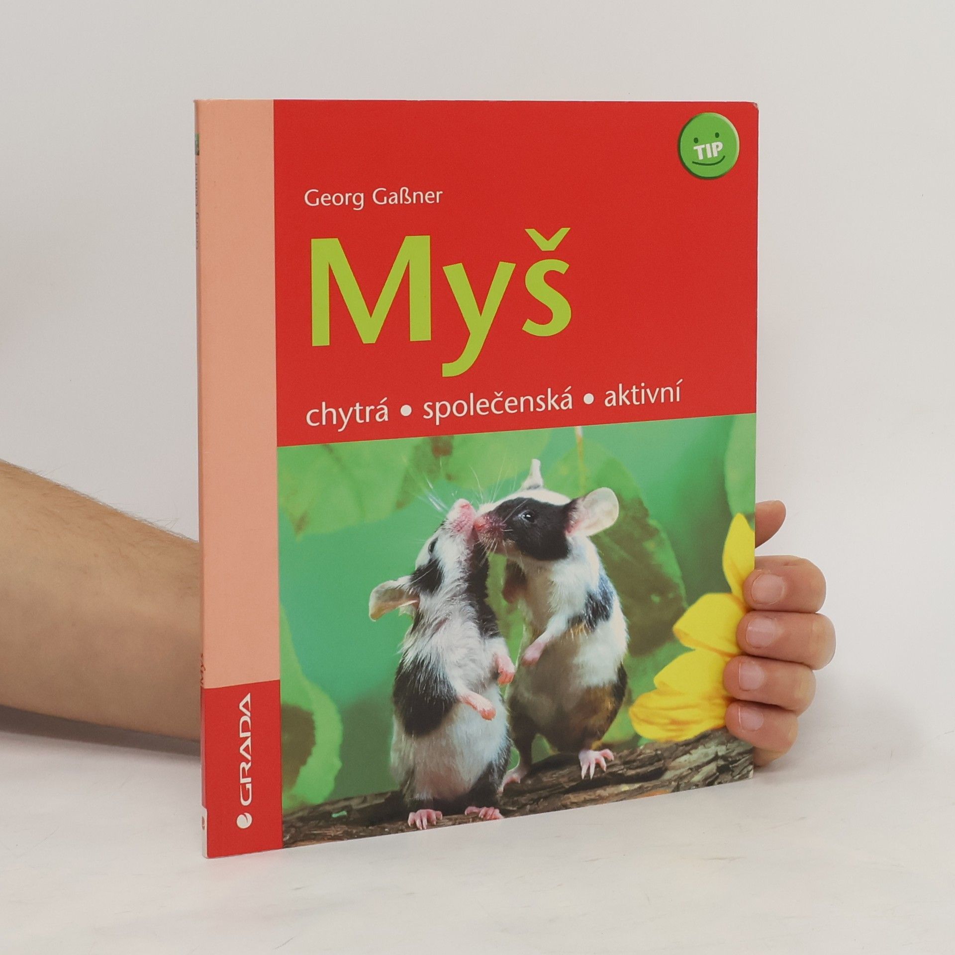 Georg Gaßner Myš : chytrá, společenská, aktivní