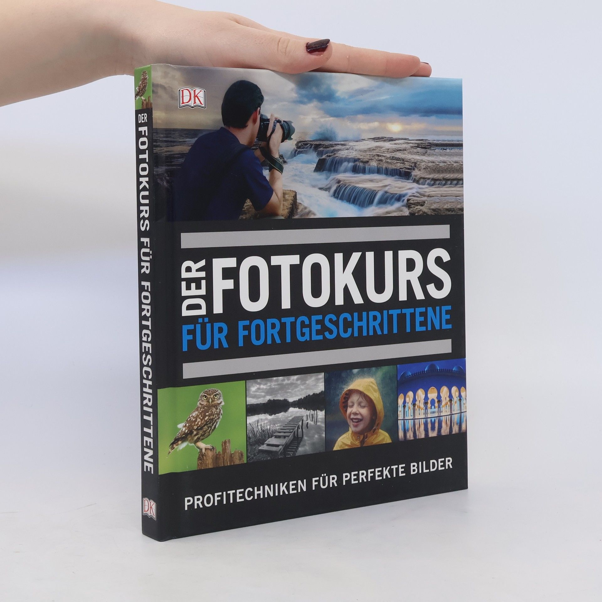 David Conrad Taylor Der Fotokurs für Fortgeschrittene