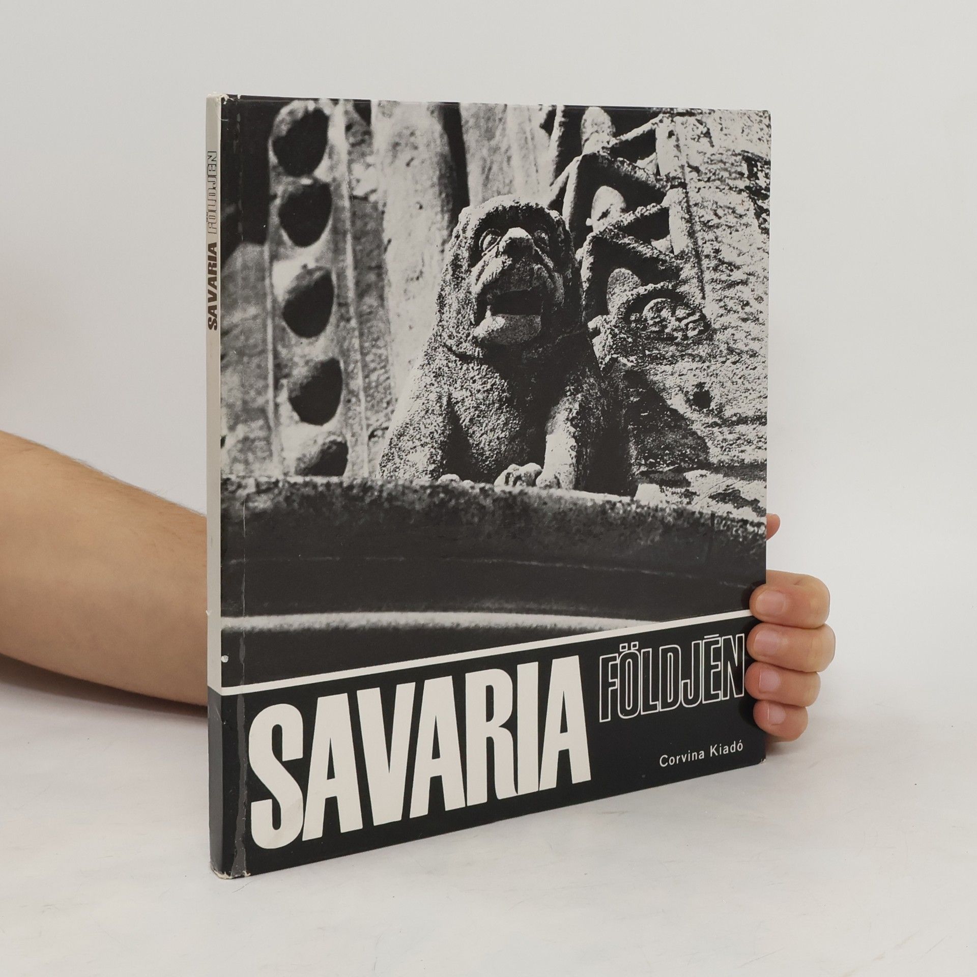 Autores varios Savaria földjen
