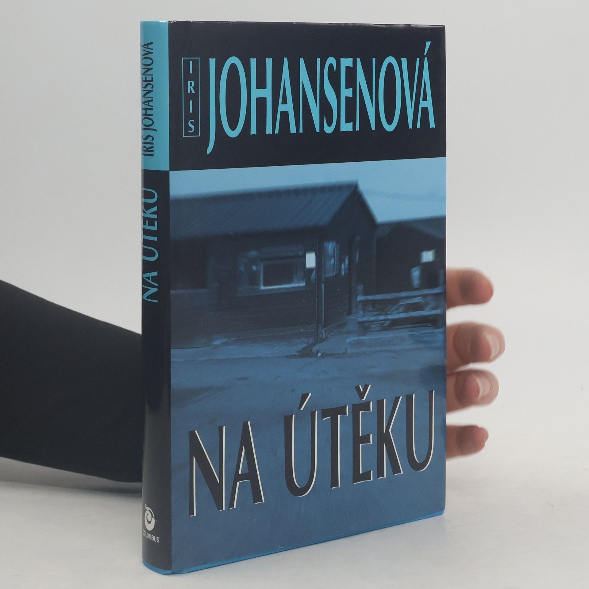 Iris Johansen Na útěku