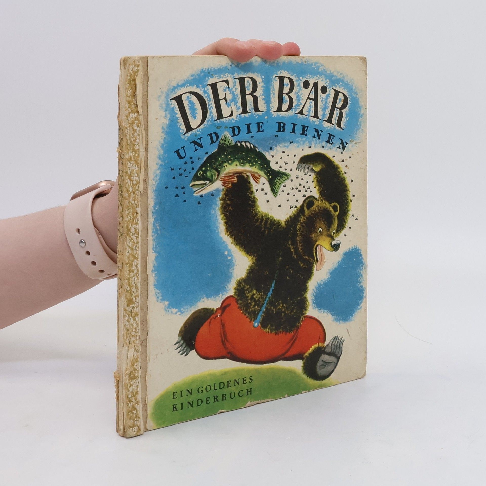 kolektiv Der Bär und die Bienen