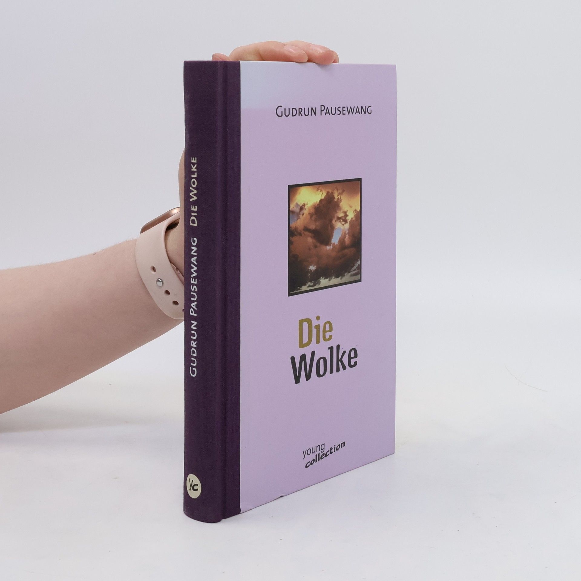 Gudrun Pausenwang Die Wolke