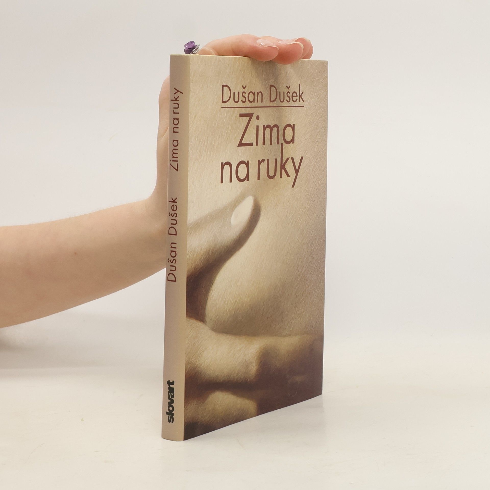 Dušan Dušek Zima na ruky