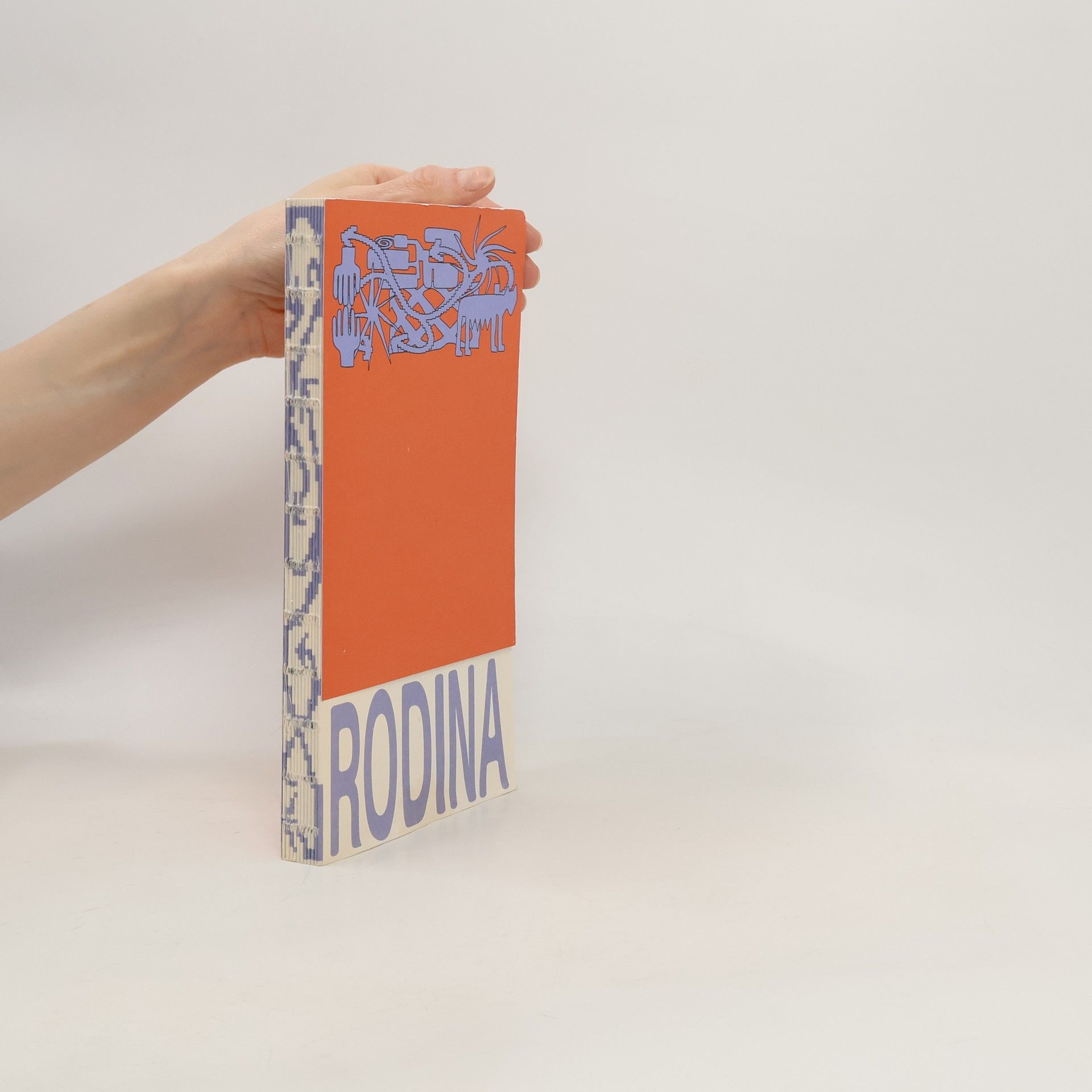 Autorenkollektiv Nejen nukleární rodina