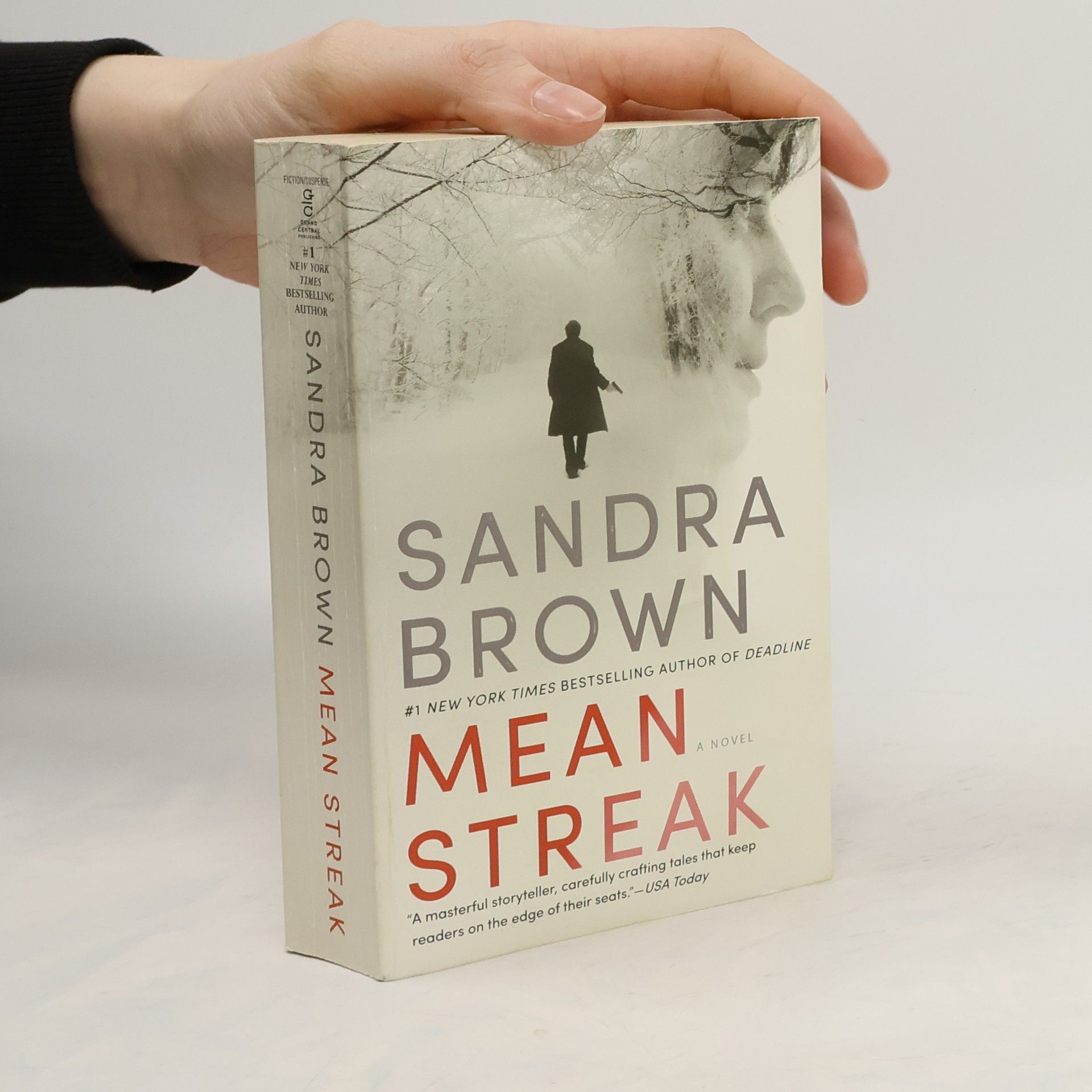 Sandra Brown Mean Streak