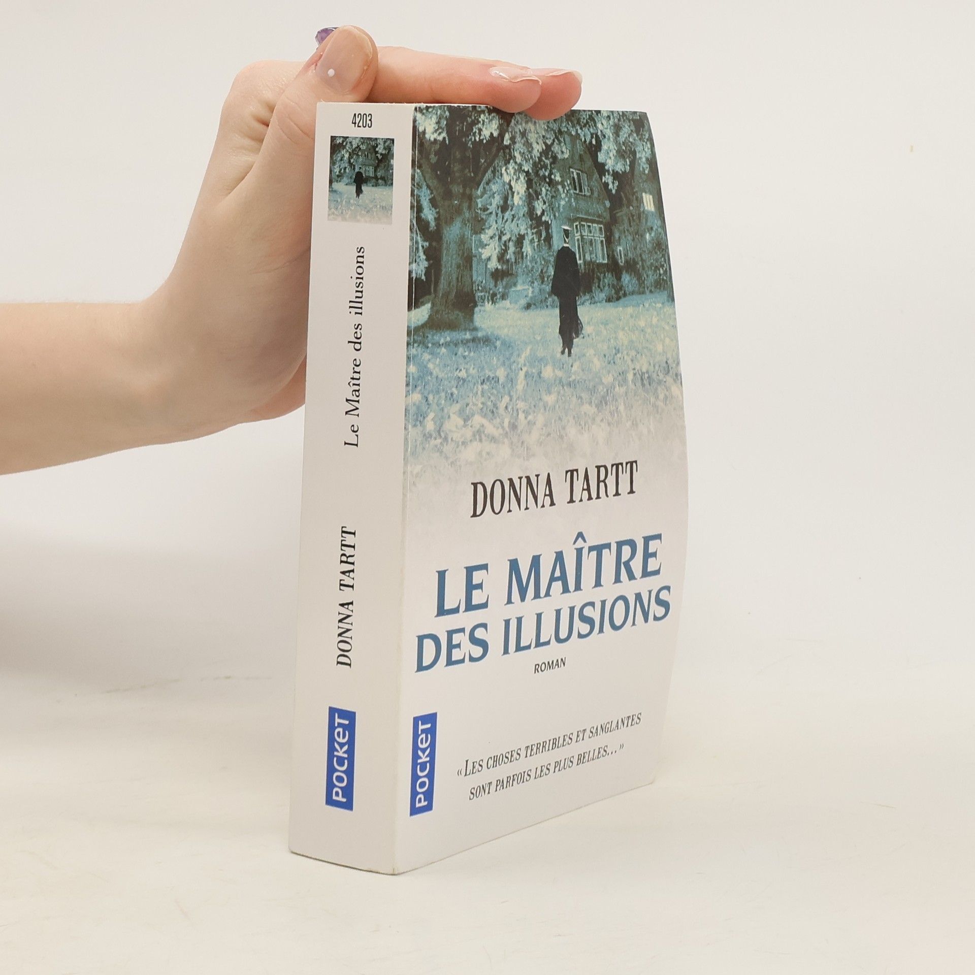 Donna Tartt Le maître des illusions