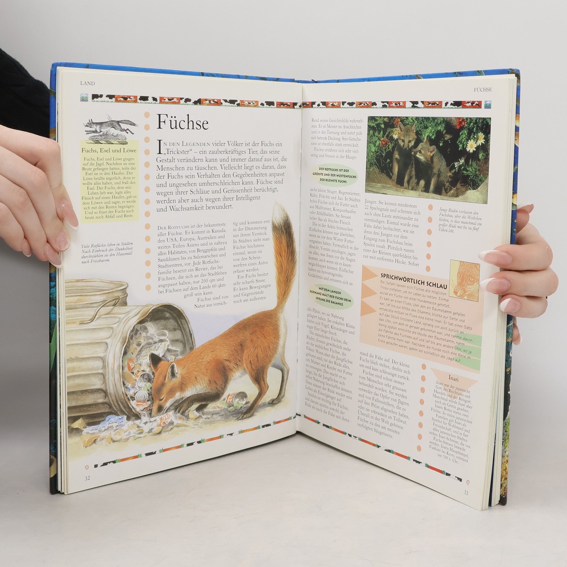 Fran Pickering Die illustrierte Enzyklopädie der Tiere