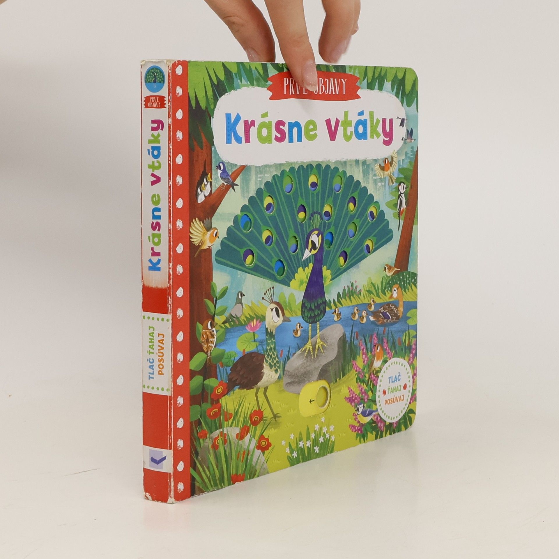Various authors Krásne vtáky