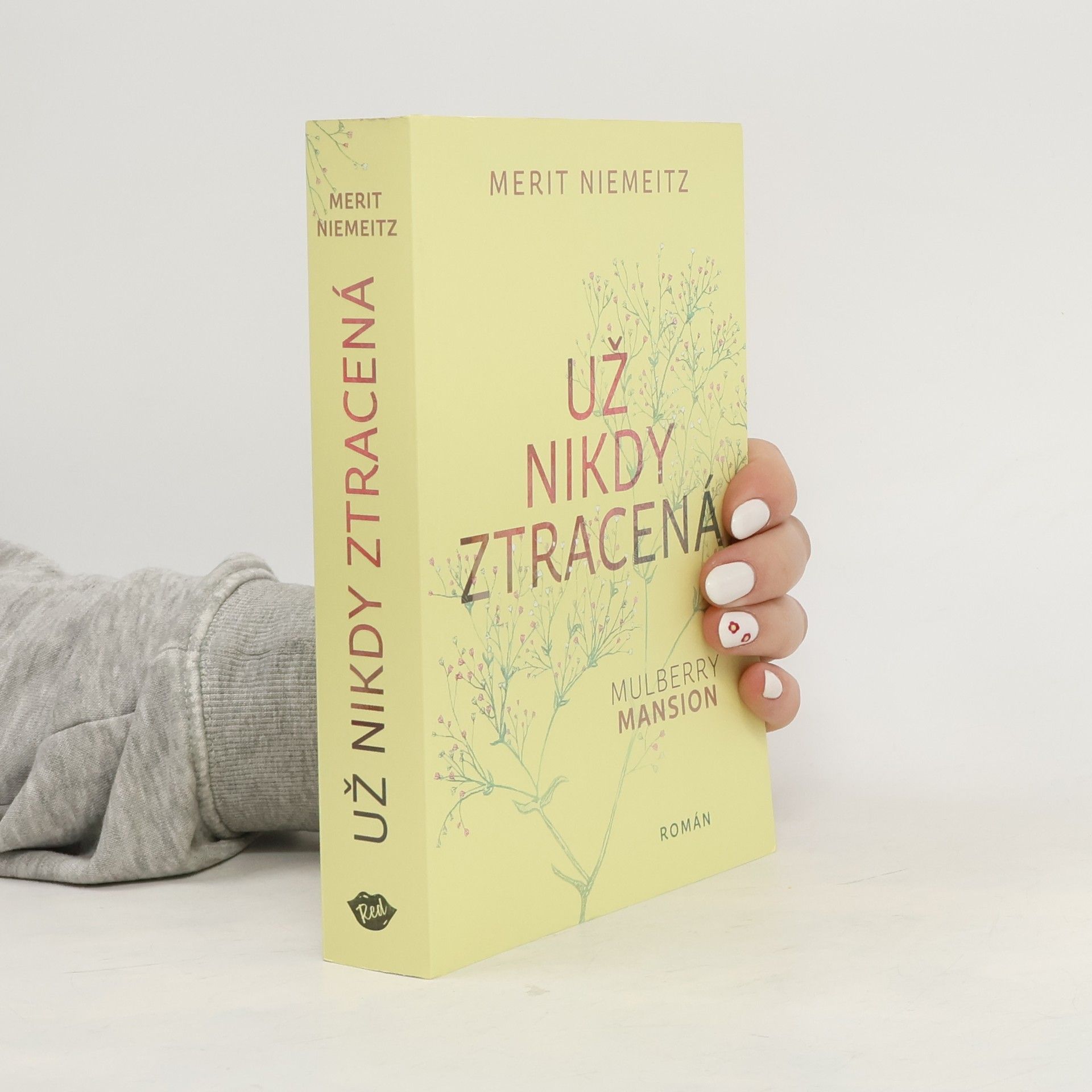 Merit Niemeitz Už nikdy ztracená