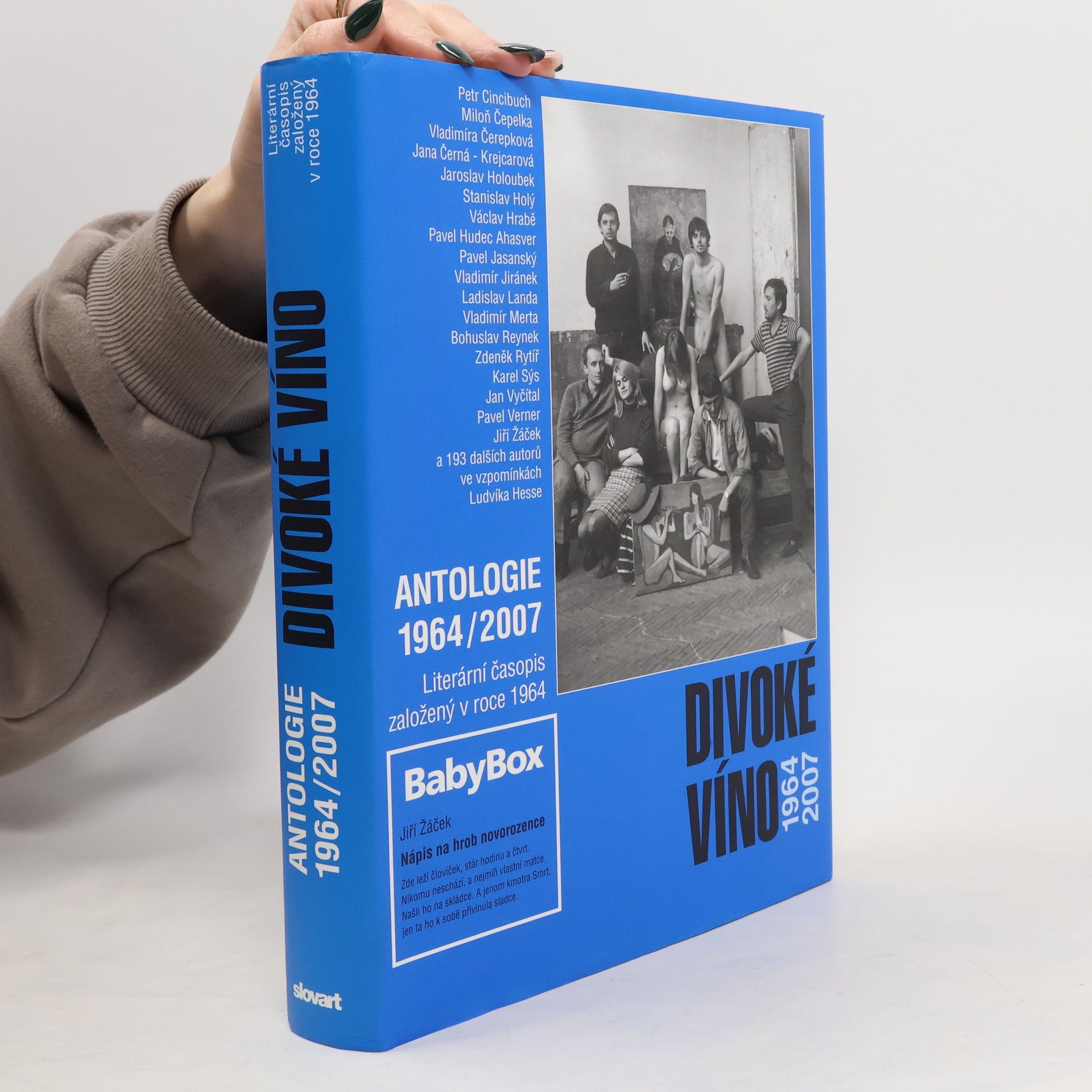 Autorenkollektiv Divoké víno 1964-2007. Antologie