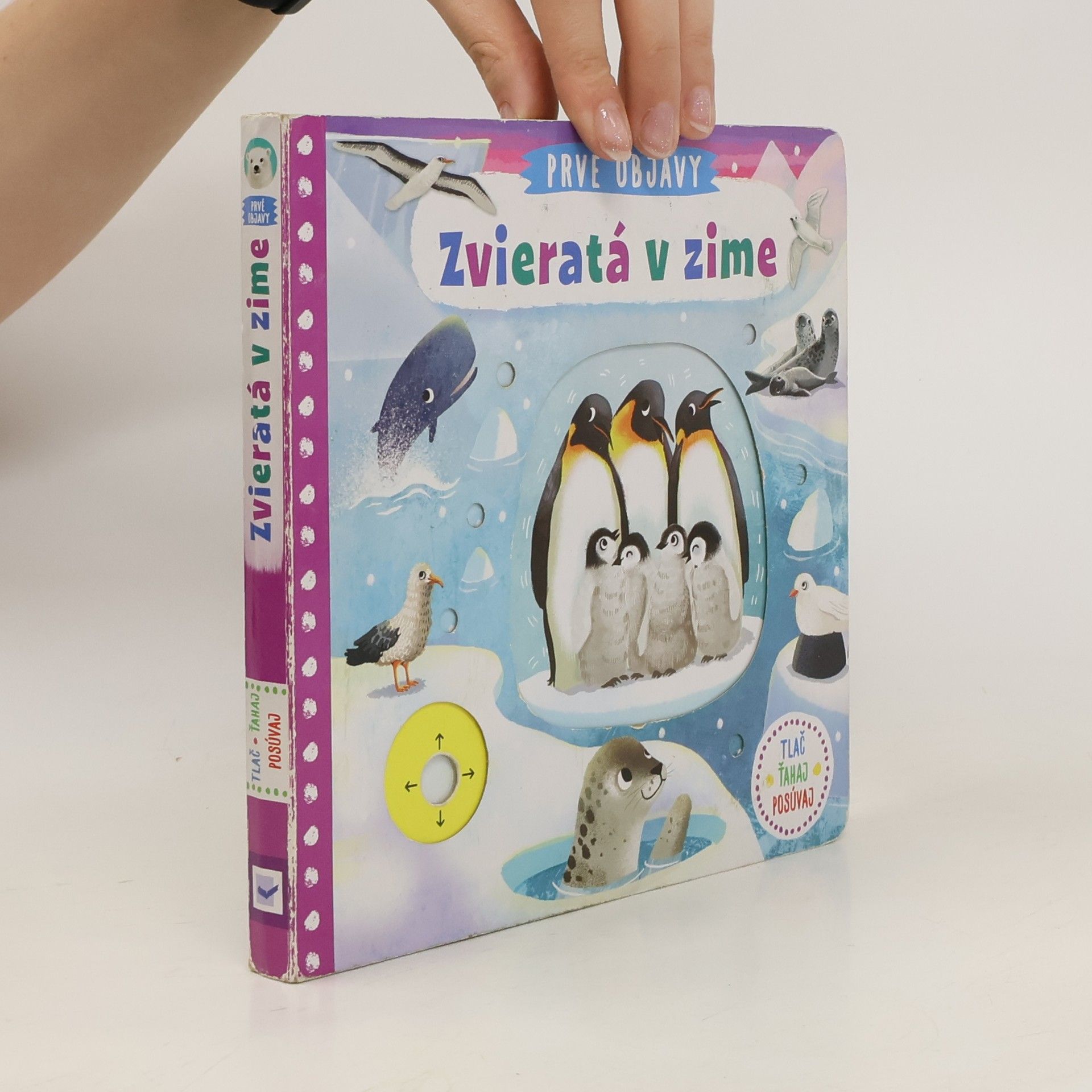 Autorenkollektiv Zvieratá v zime
