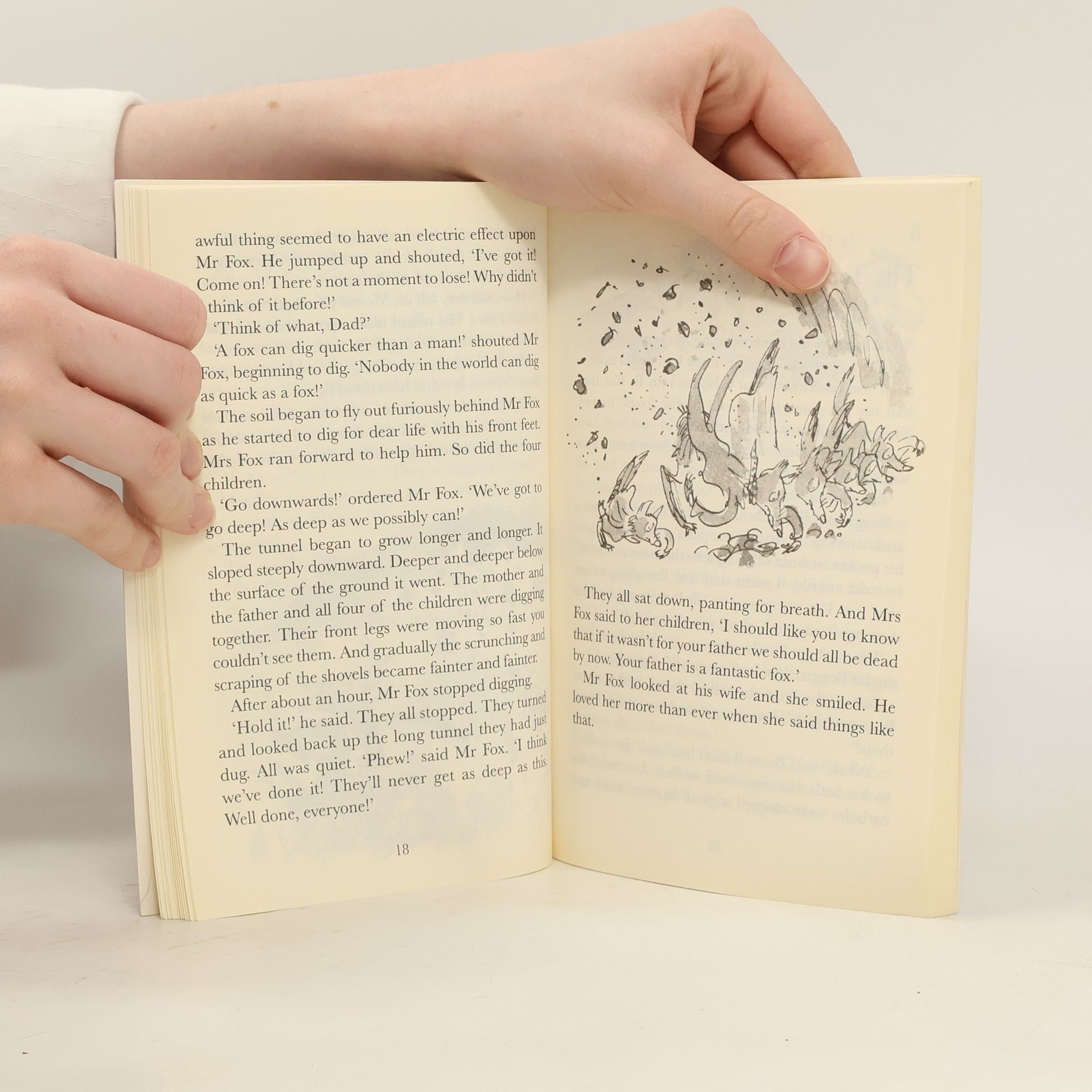 Roald Dahl Fantastic mr Fox