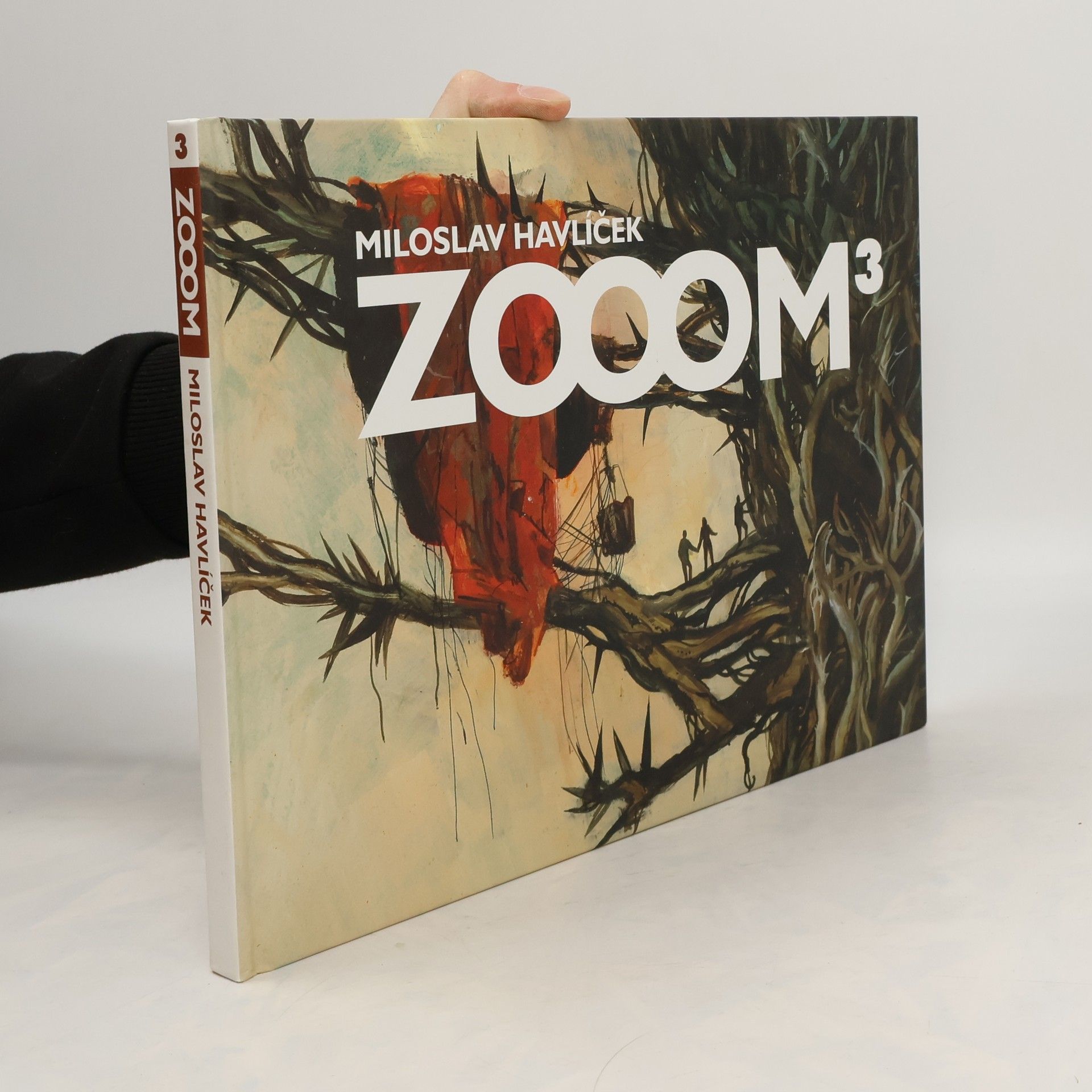 Miloslav Havlíček Zooom³