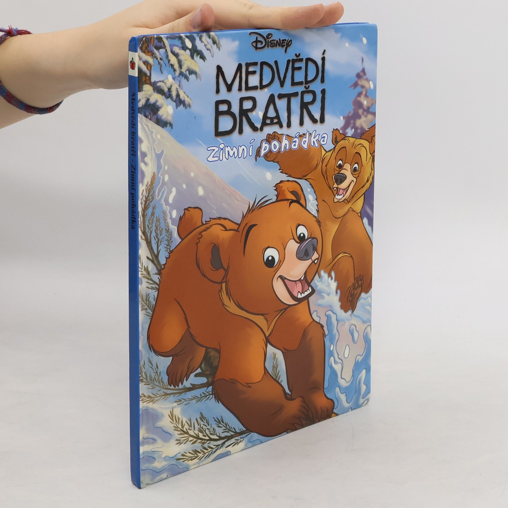 Walt Disney Medvědí bratři. Zimní pohádka