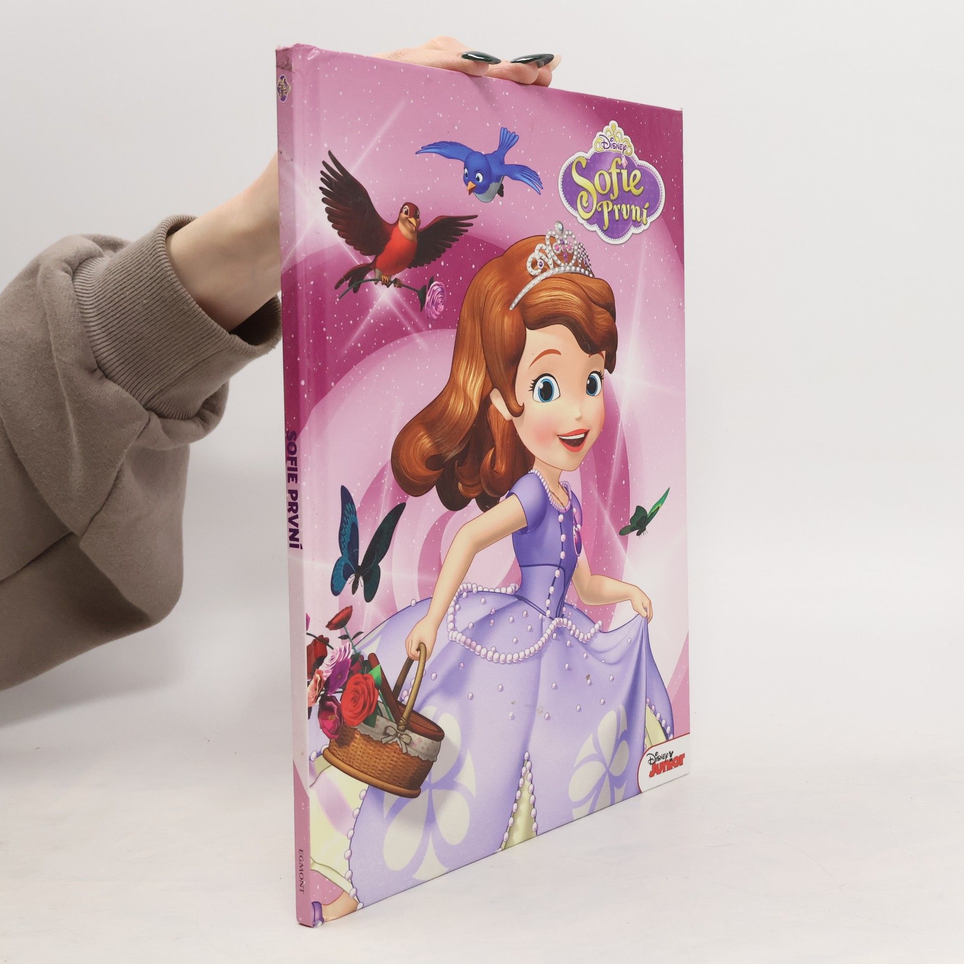 Walt Disney Sofie První