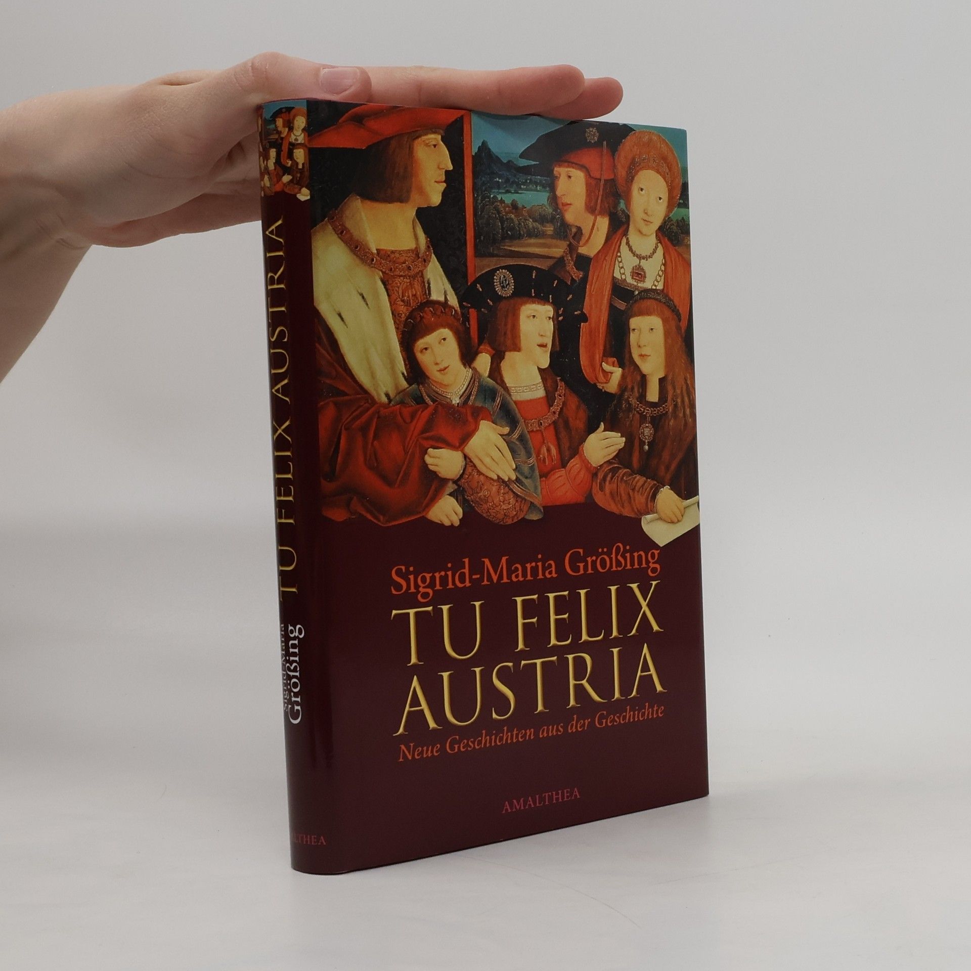 Sigrid-Maria Größing Tu Felix Austria: Neue Geschichten aus der Geschichte