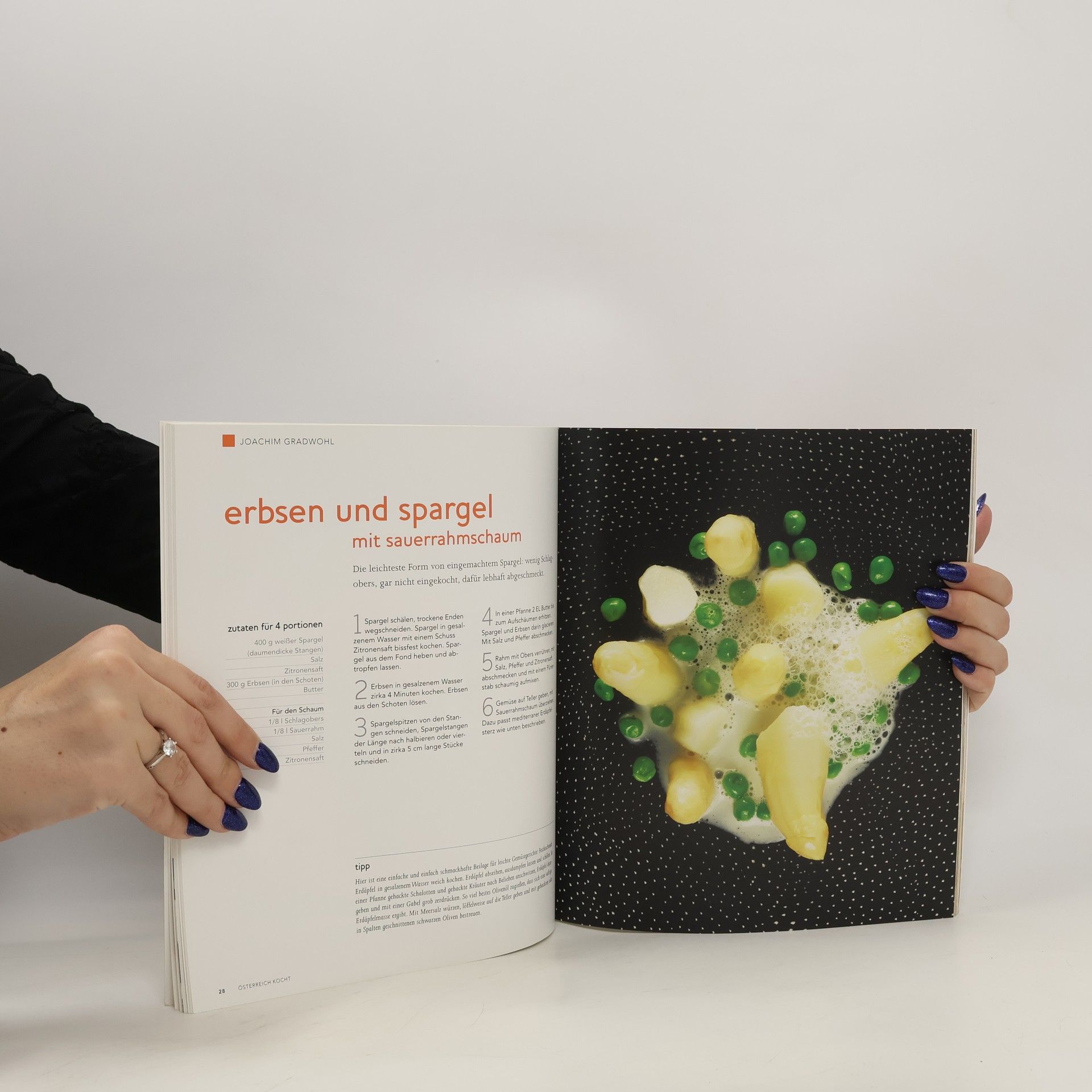 Autorenkollektiv Das neue österreichische Kochbuch