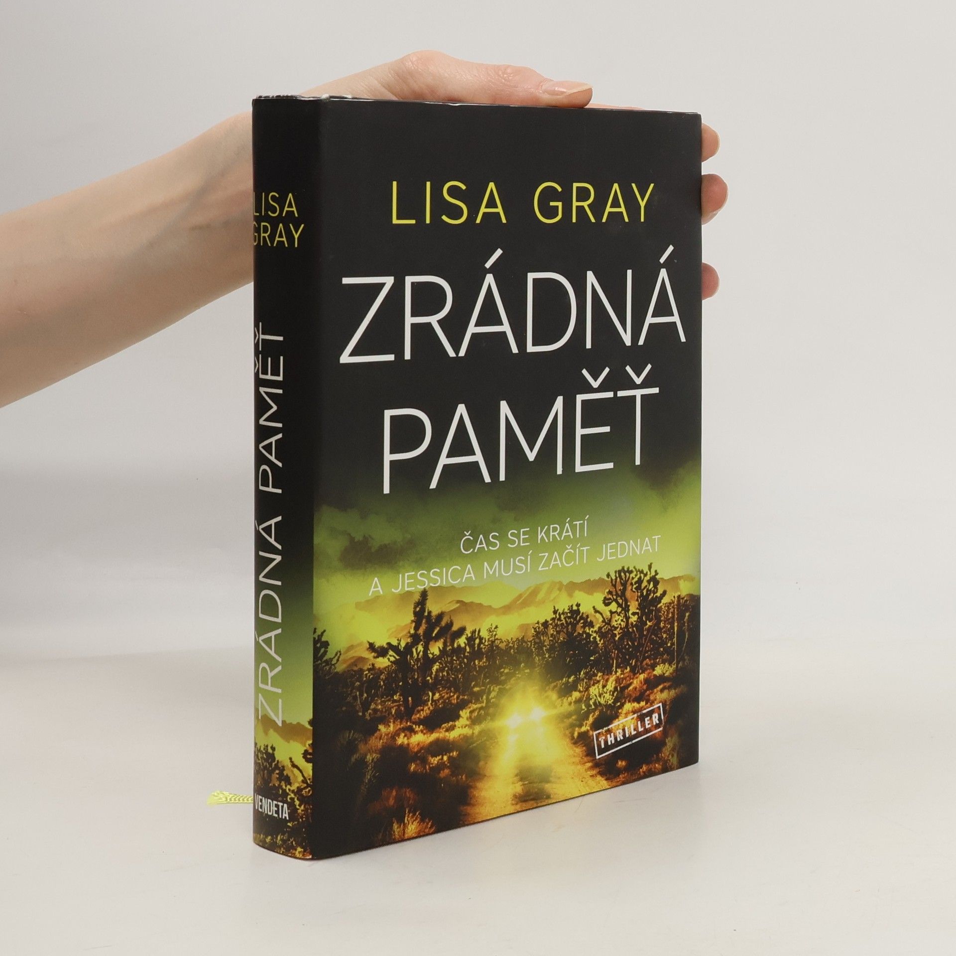 Lisa Gray Zrádná paměť