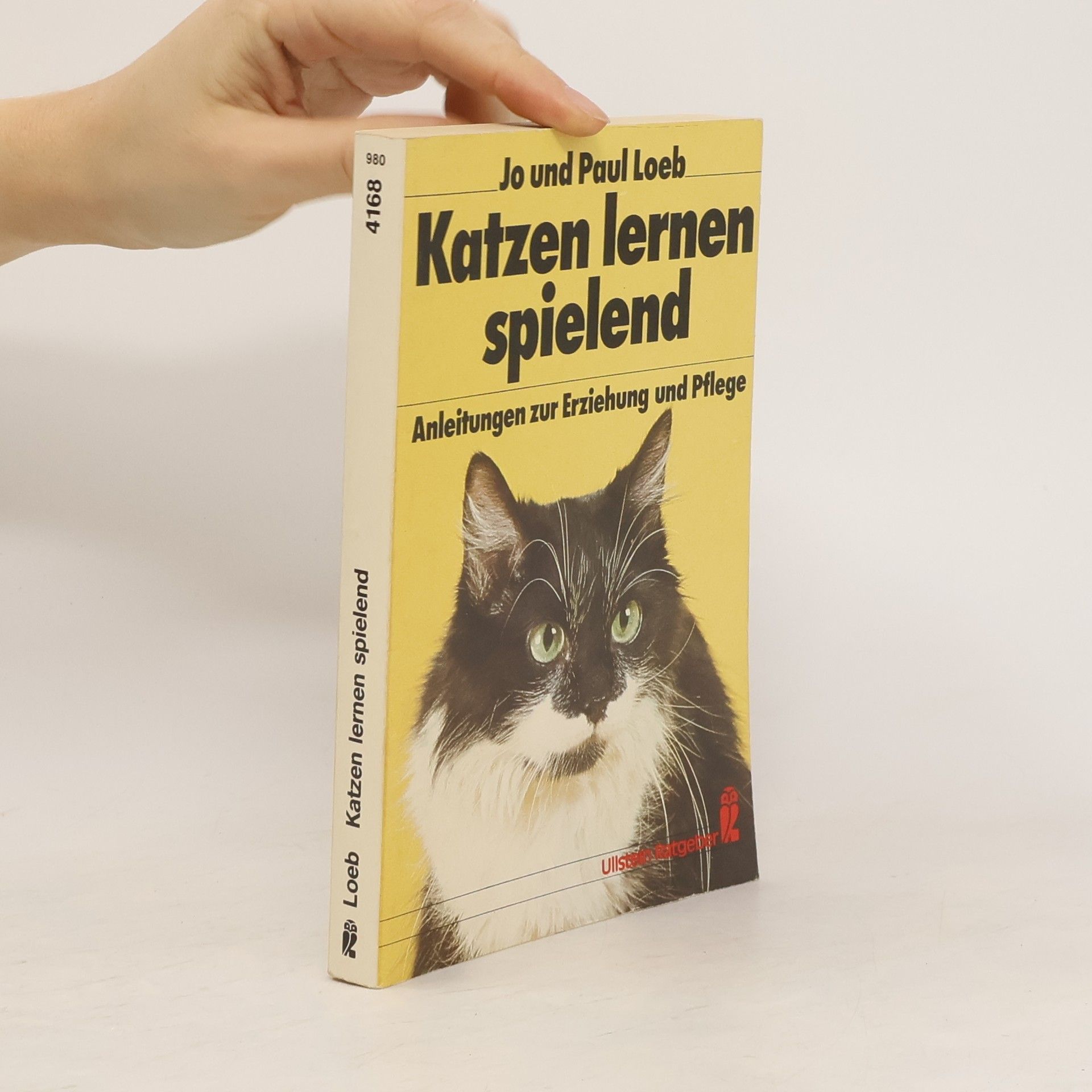 Jo Loeb Katzen lernen spielend