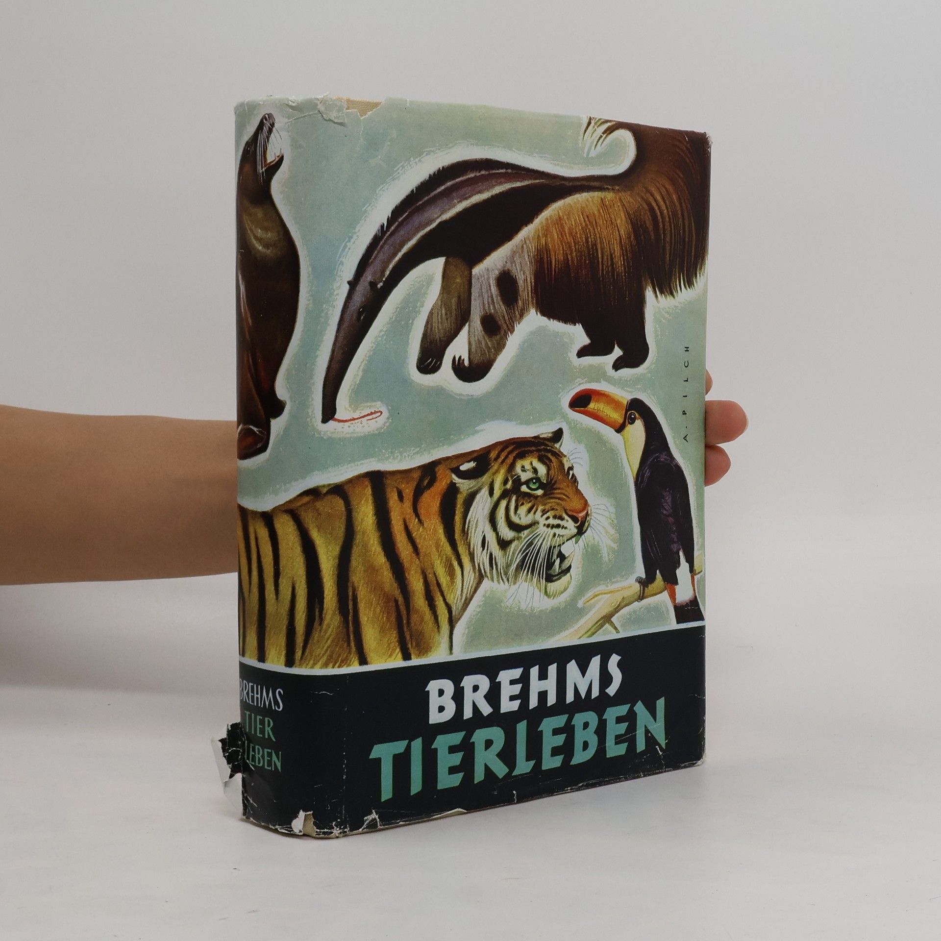 kolektiv Brehms Tierleben