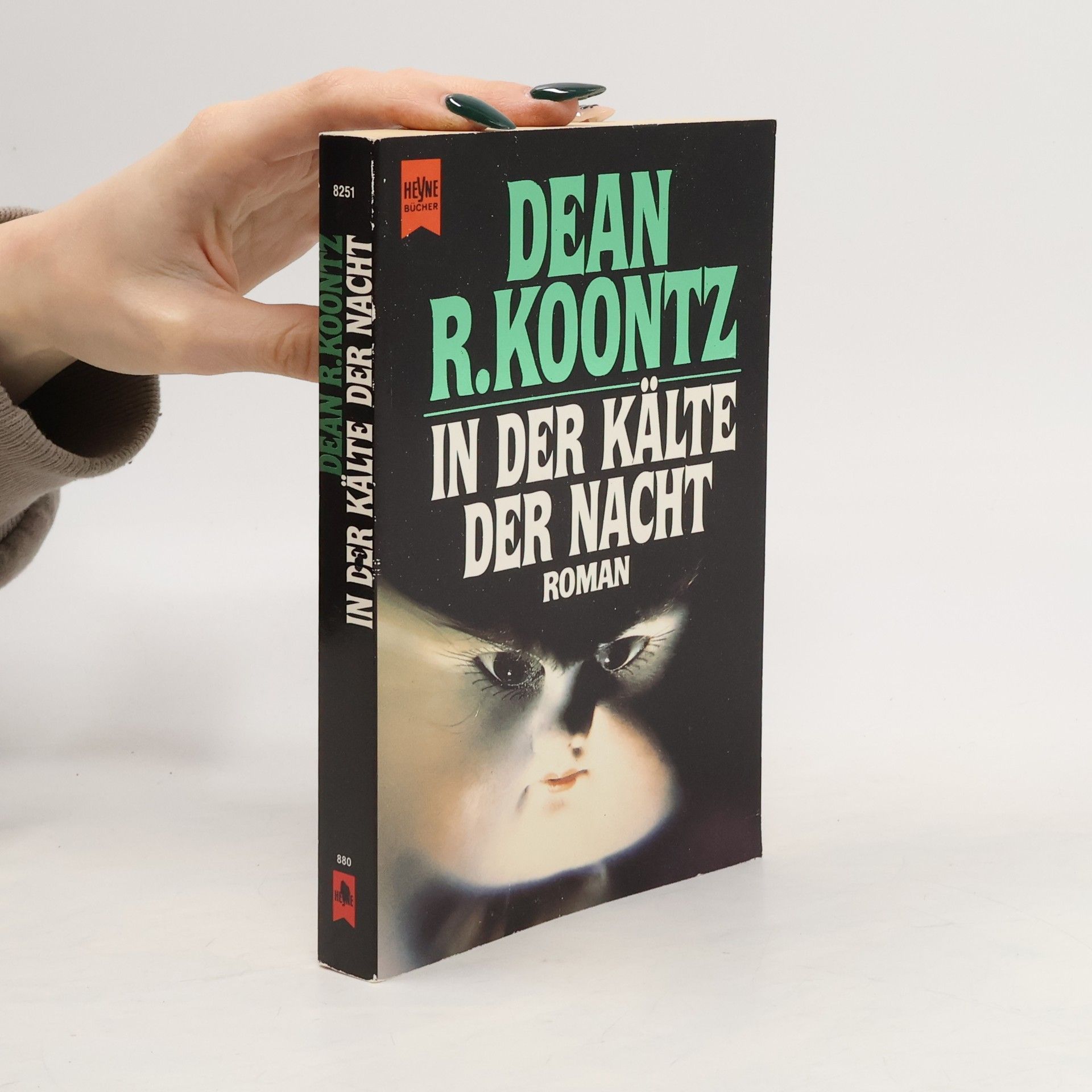 Dean R. Koontz In der Kälte der Nacht