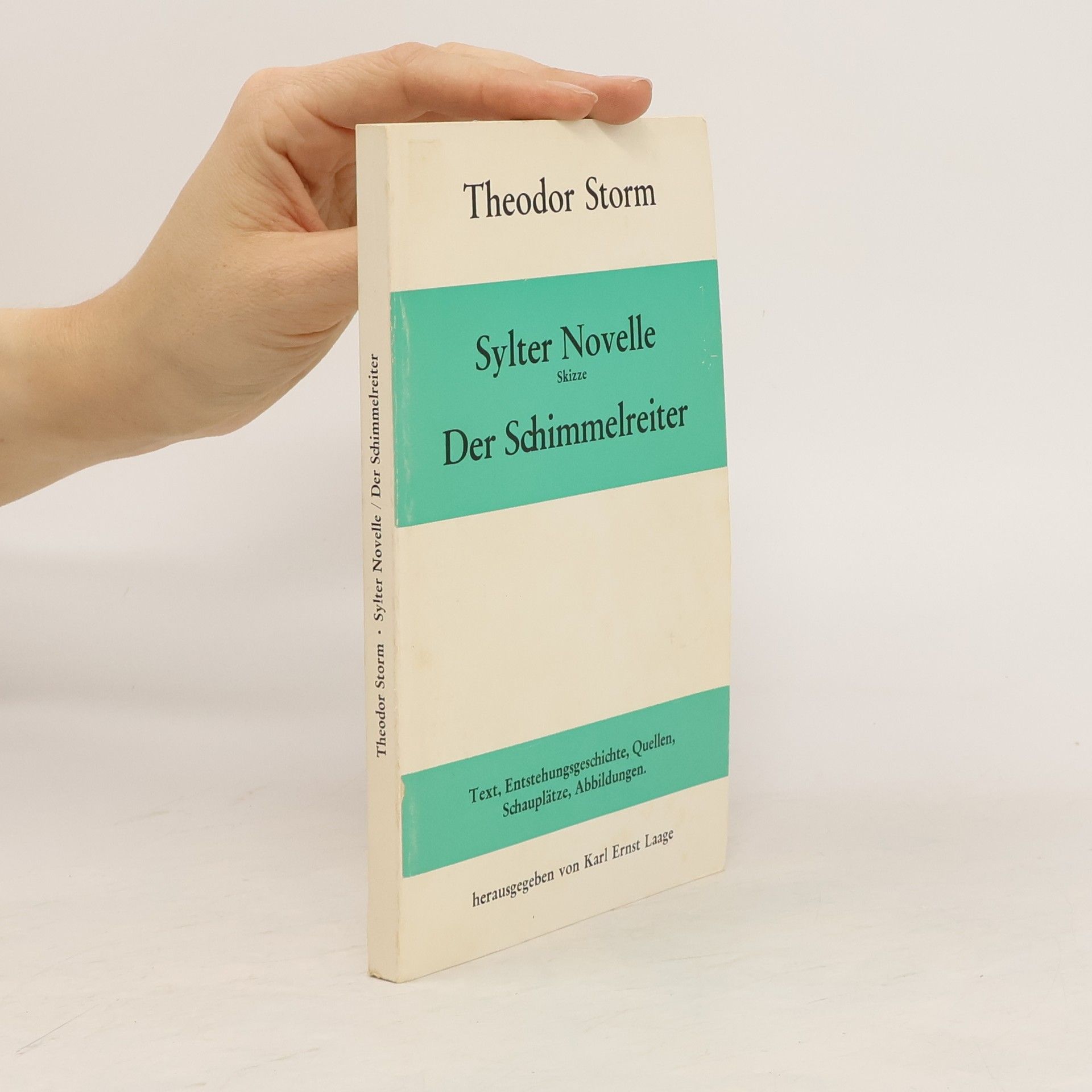 Theodor Storm Sylter Novelle / Der Schimmelreiter