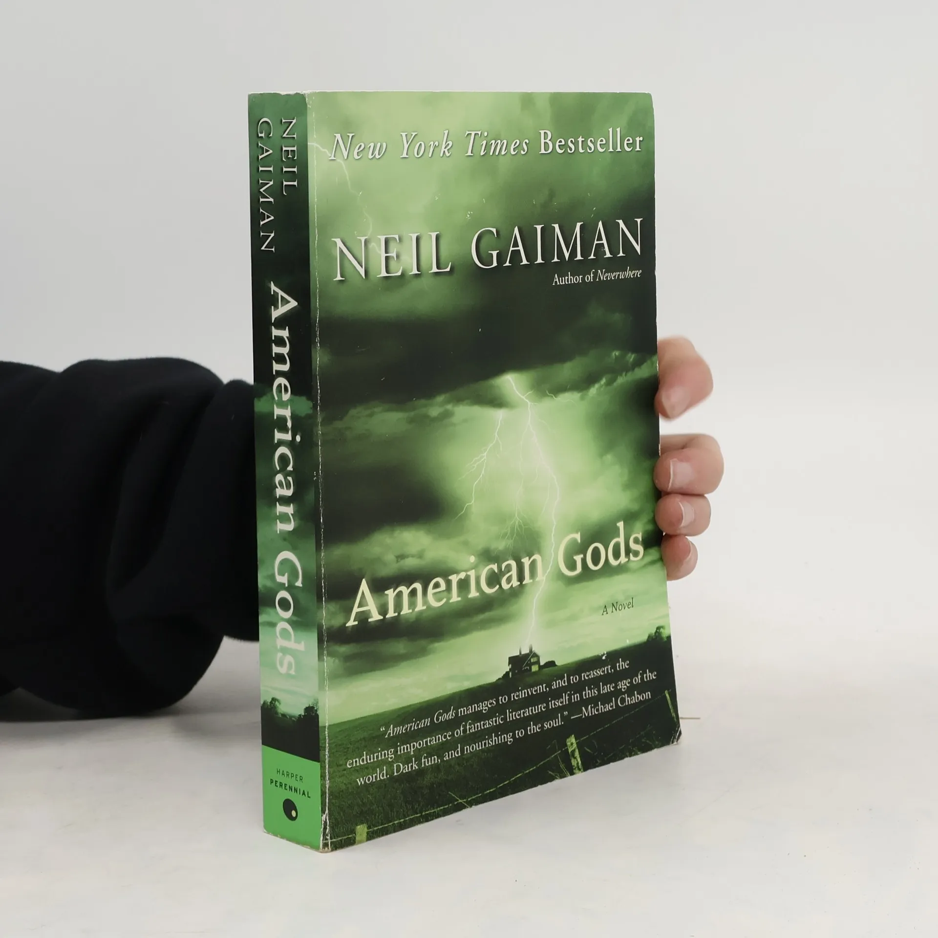 American Gods | Kniha | Neil Gaiman | EN