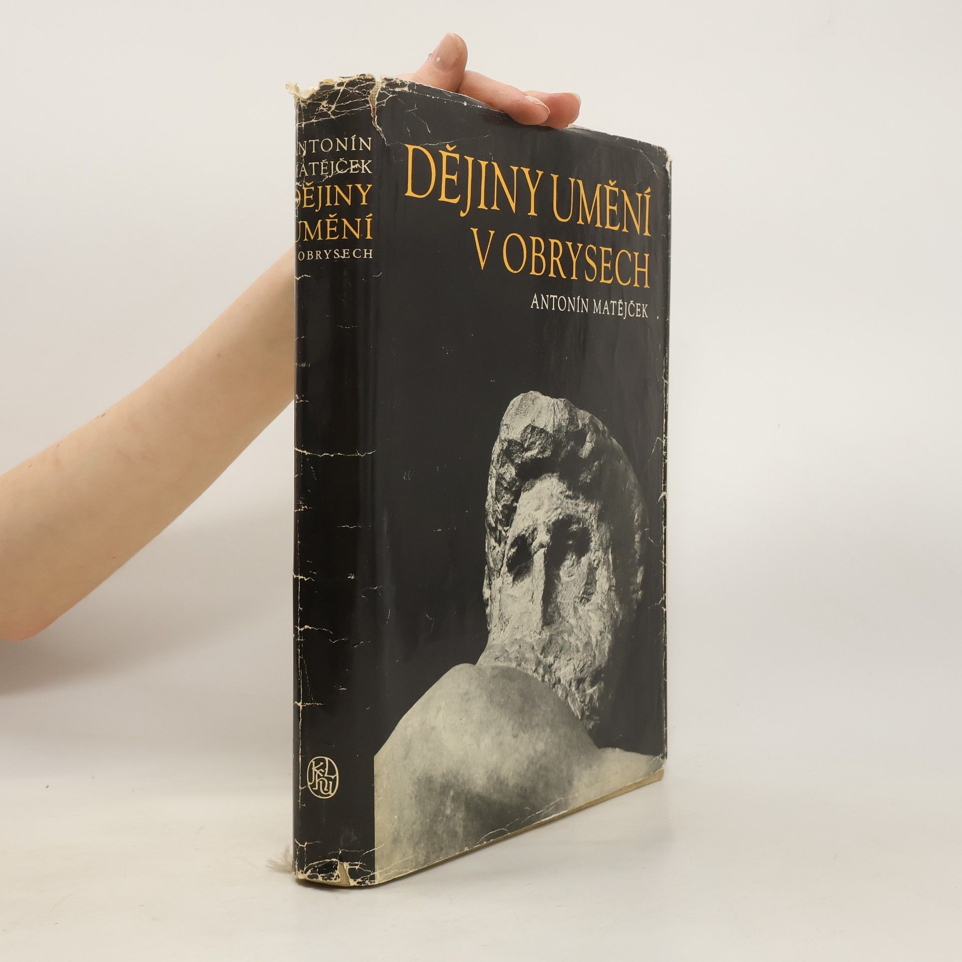Antonín Matějček Dějiny umění v obrysech