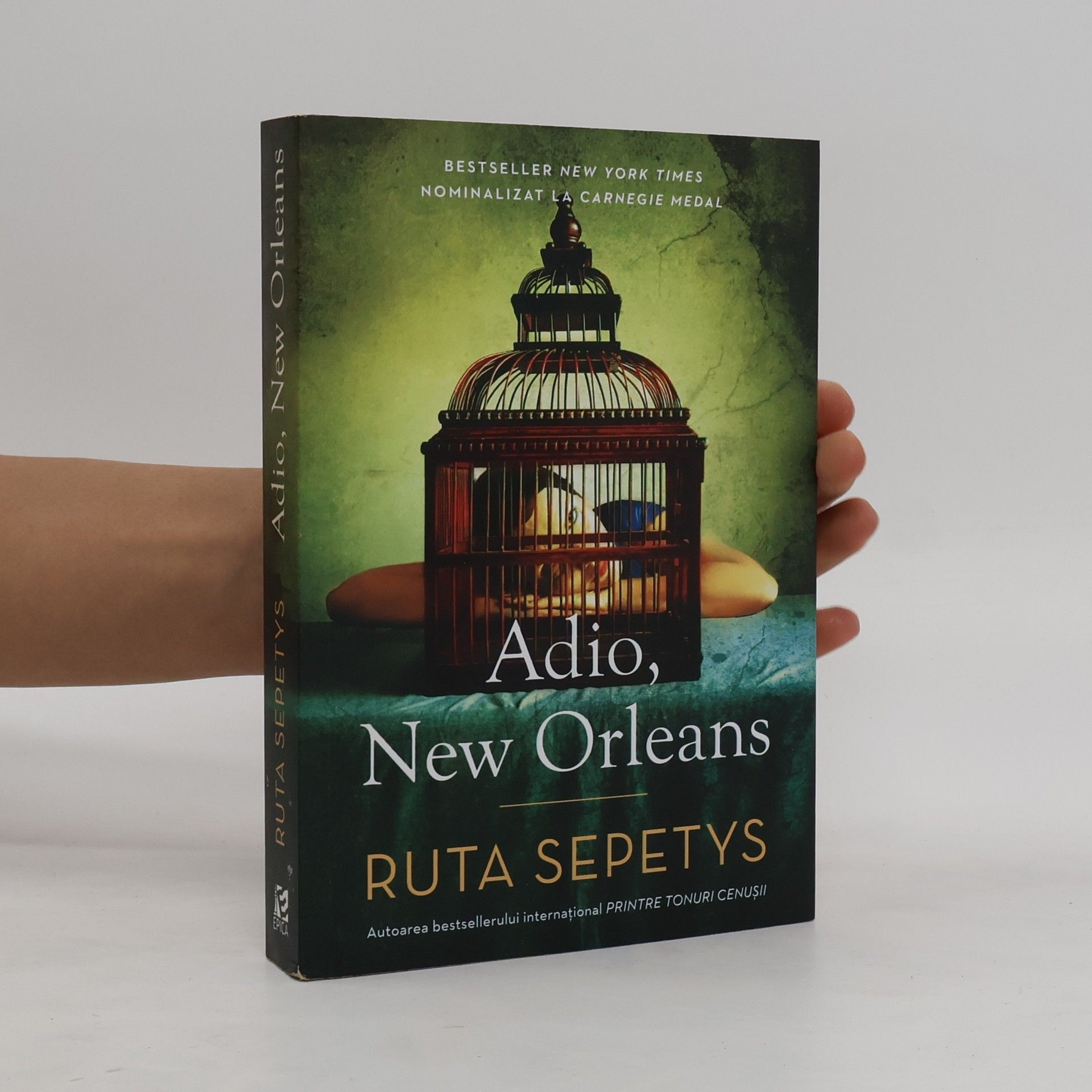 Ruta Sepetysová Adio, New Orleans