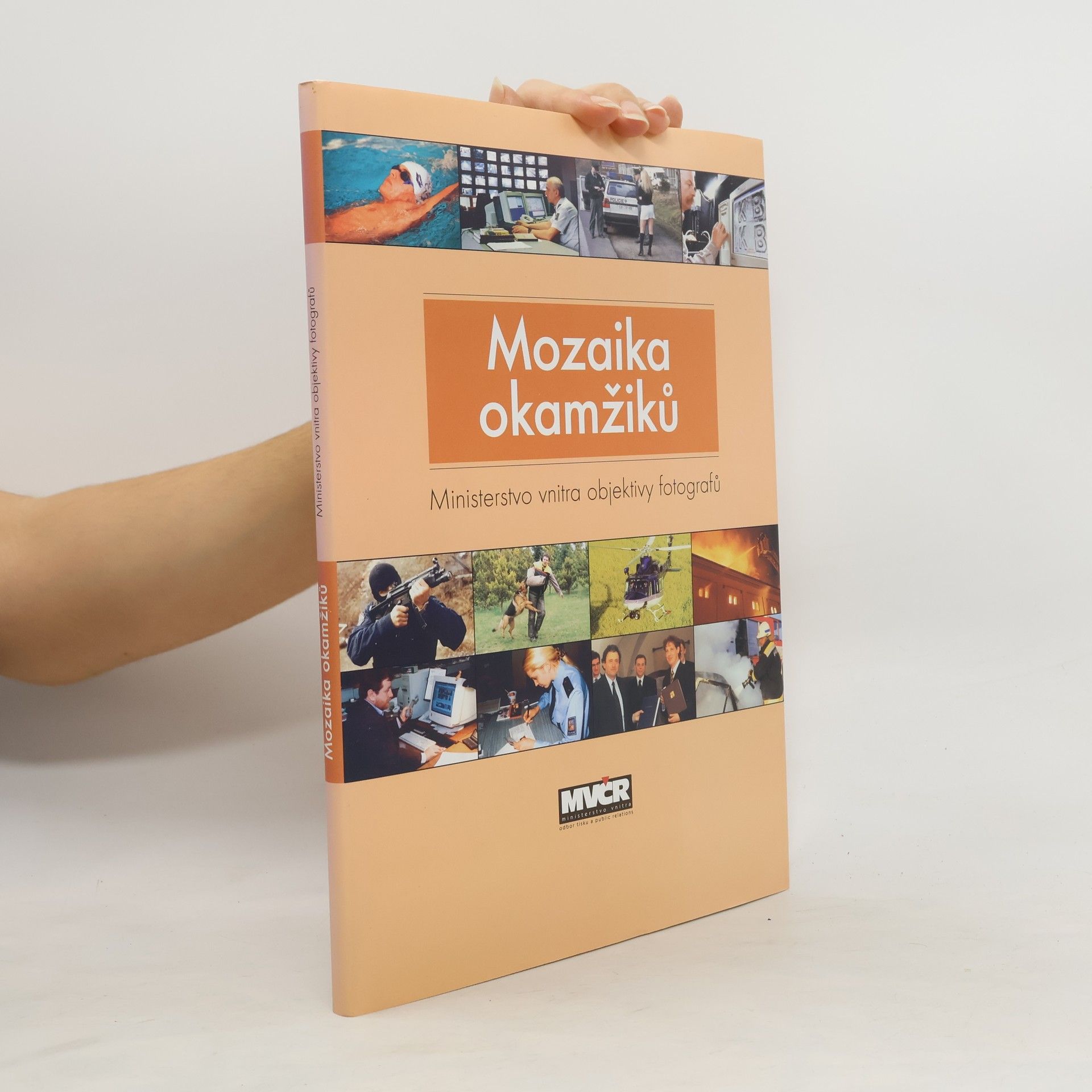 AA.VV. Mozaika okamžiků