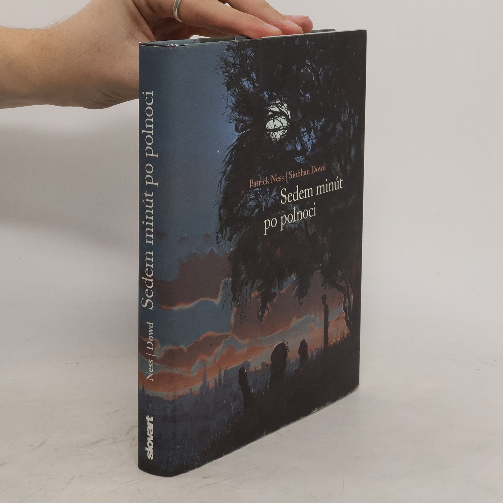 Patrick Ness Sedem minút po polnoci