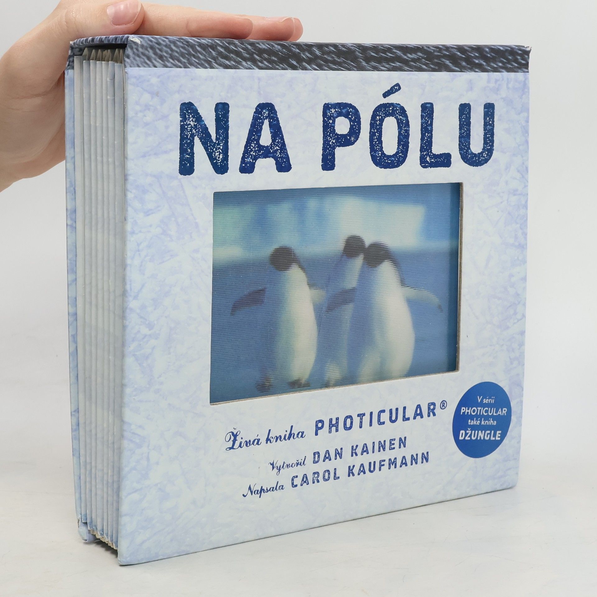 Dan Kainen Na pólu