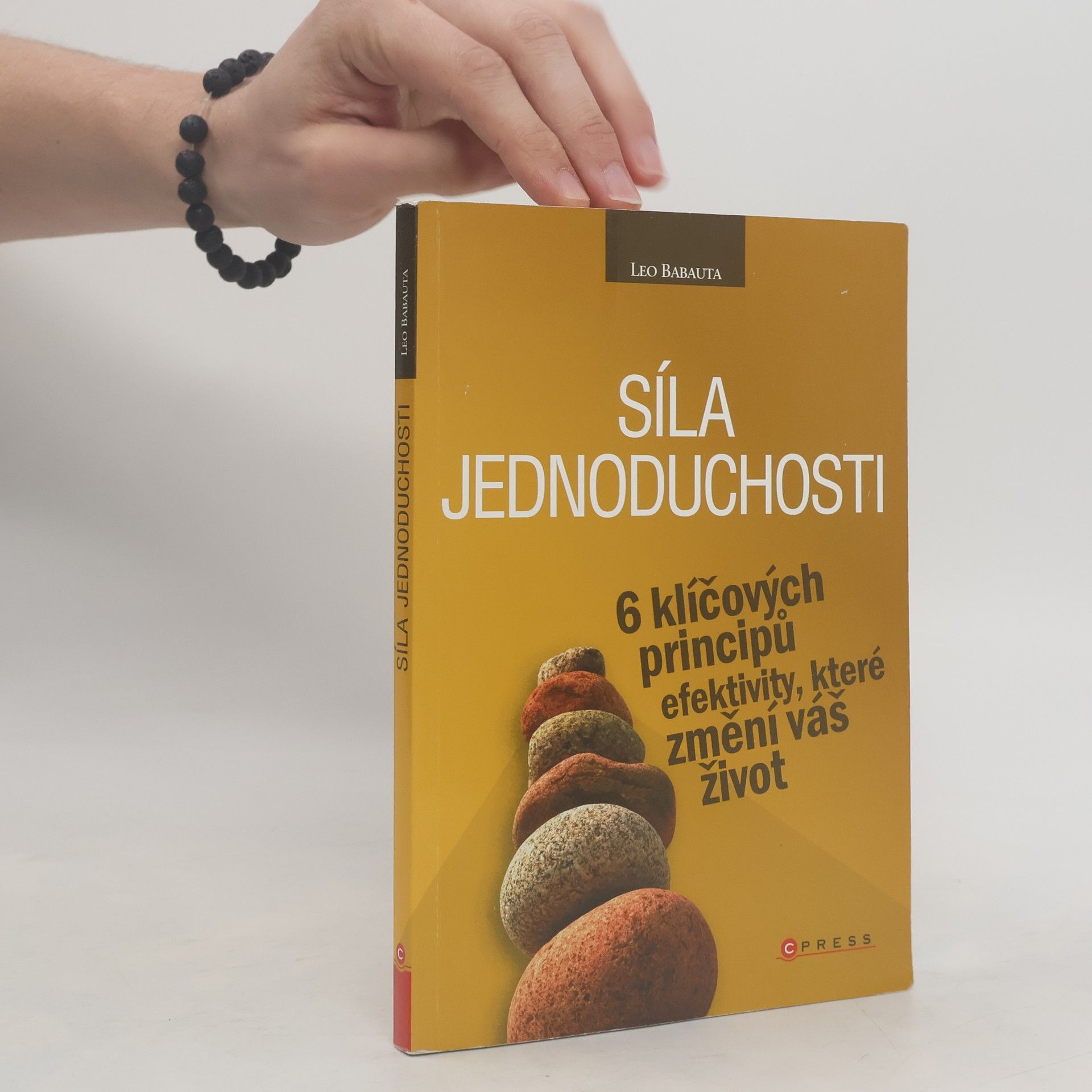 Leo Babauta Síla jednoduchosti. 6 klíčových principů efektivity, které změní váš život