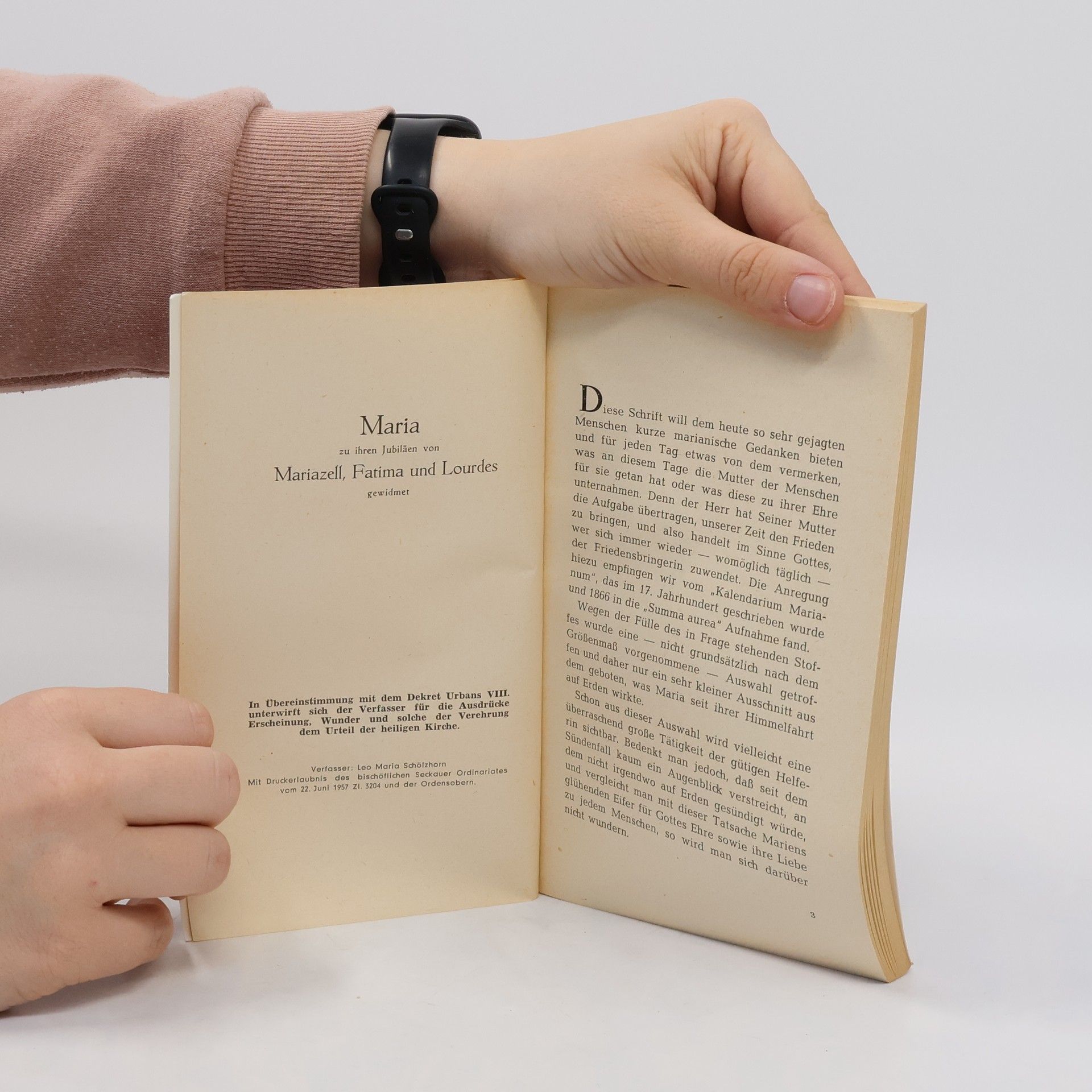 Autorenkollektiv Marien Jahr