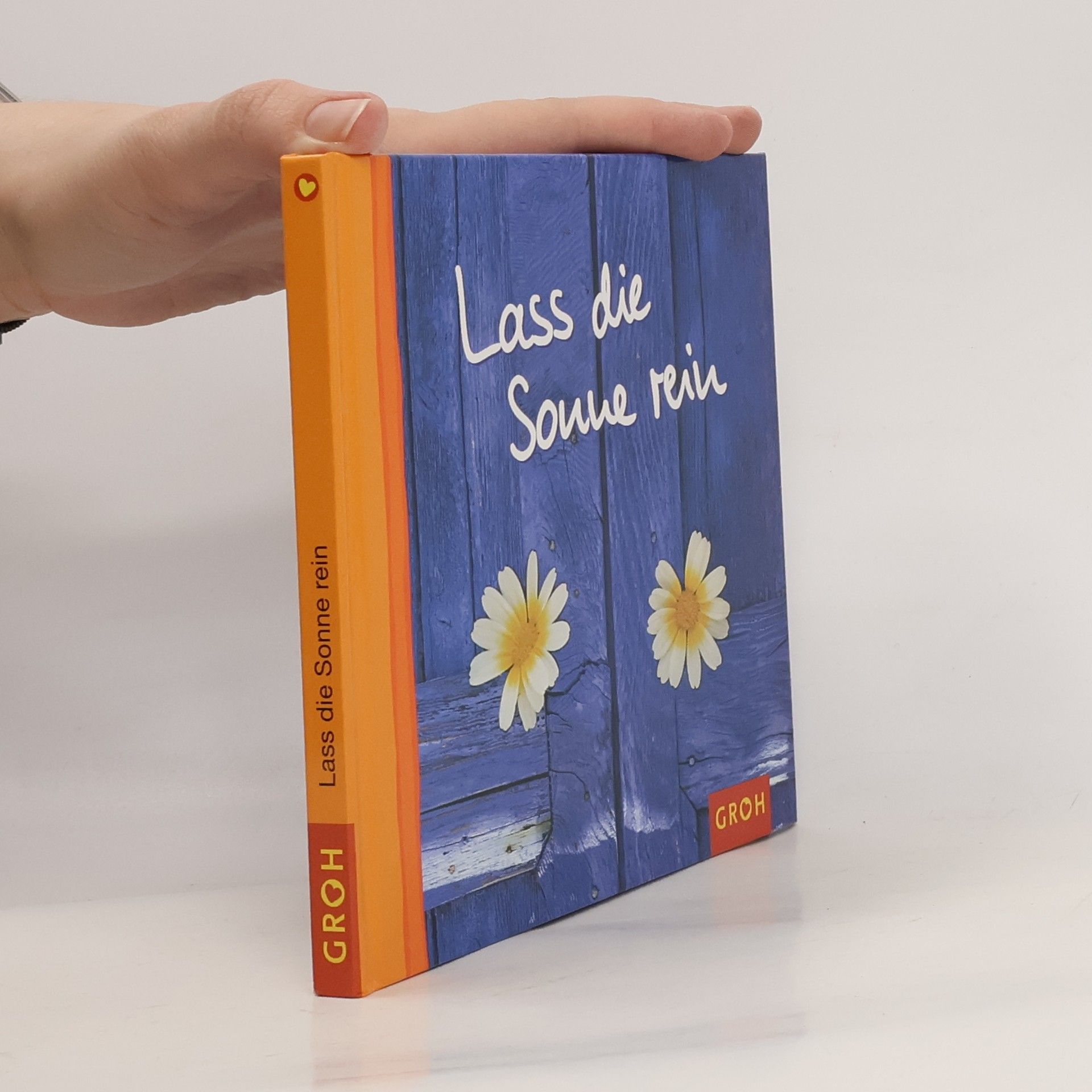 Ursula Kohaupt Lass die Sonne rein