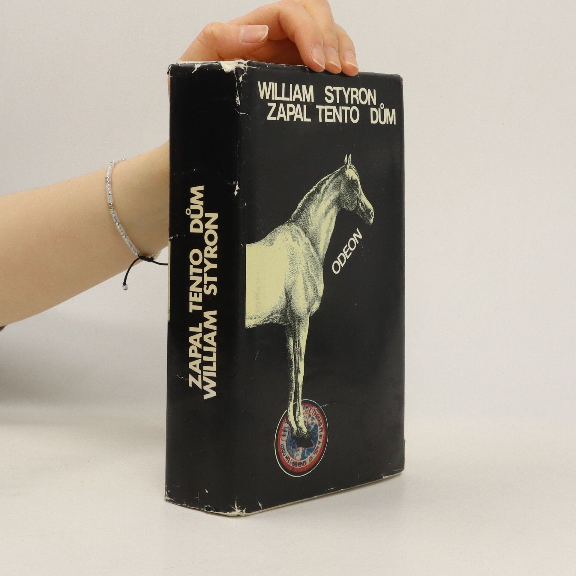 William Styron Zapal tento dům